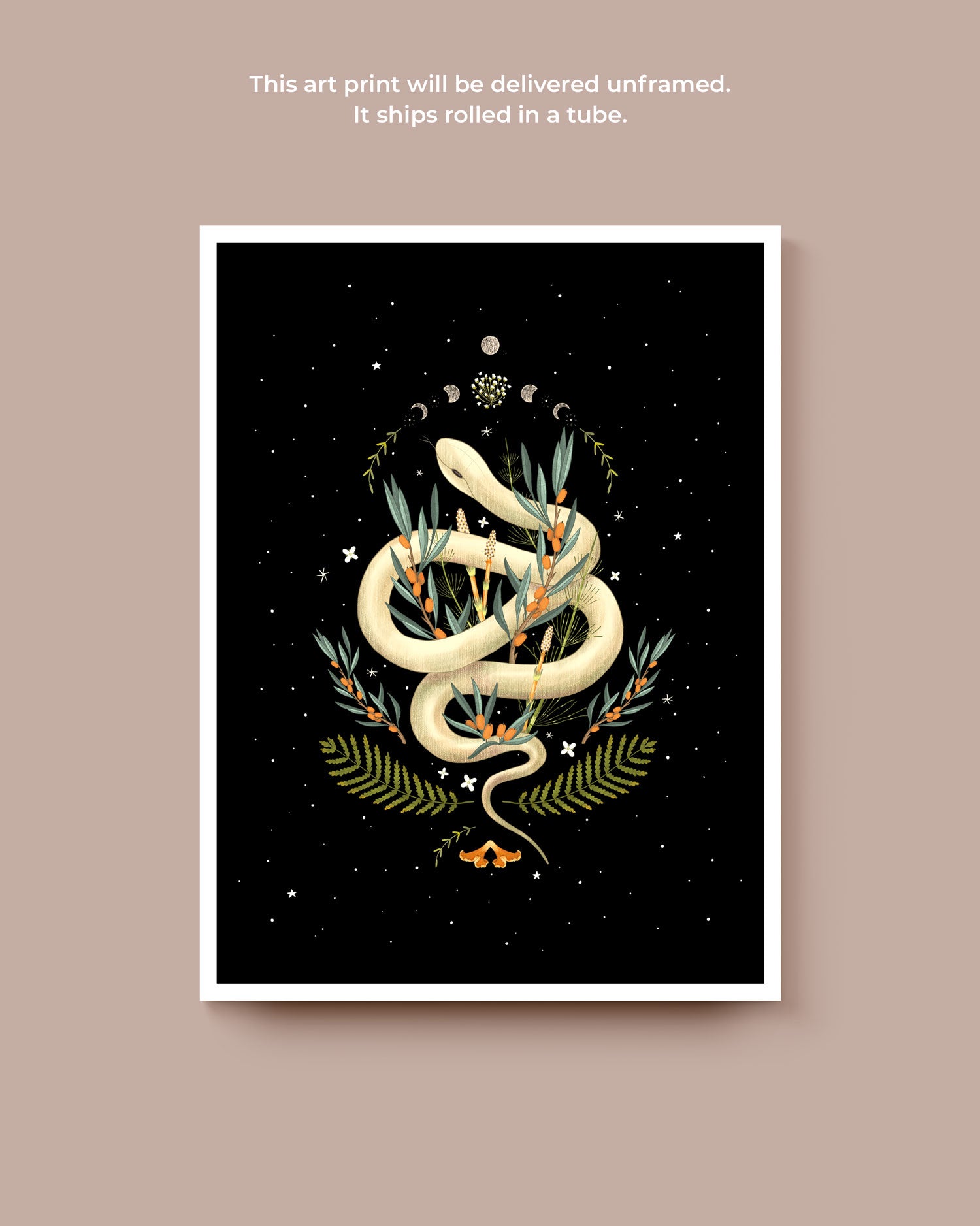 Nocturnal Snake Art Print