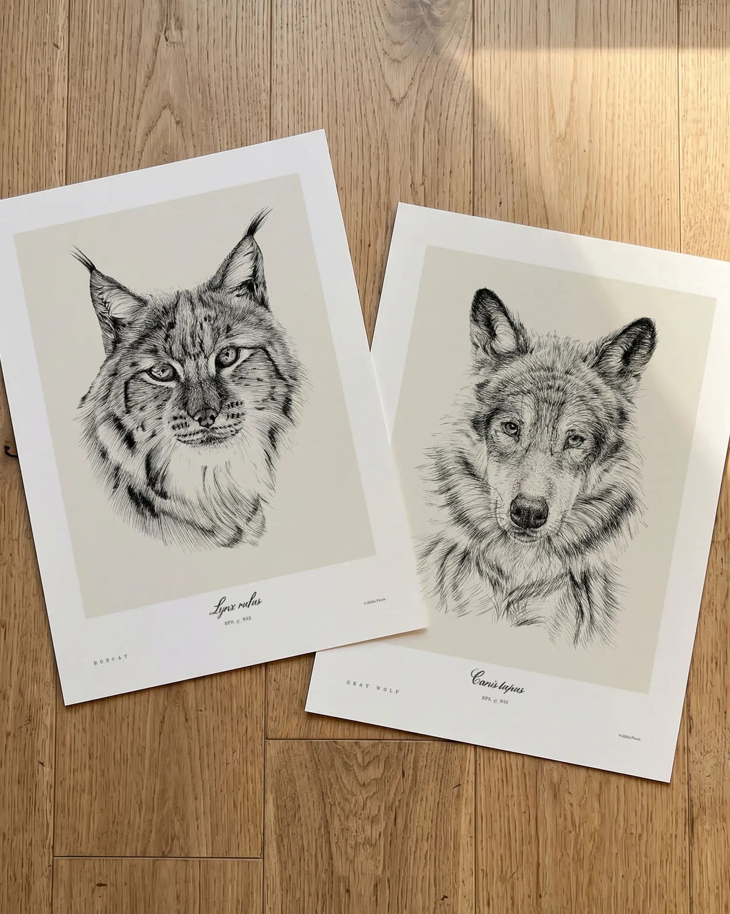 Northern Wildlife Portraits – Set of 2