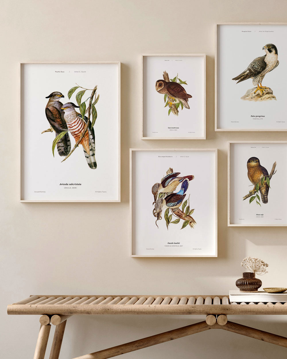 Pacific Baza Art Print