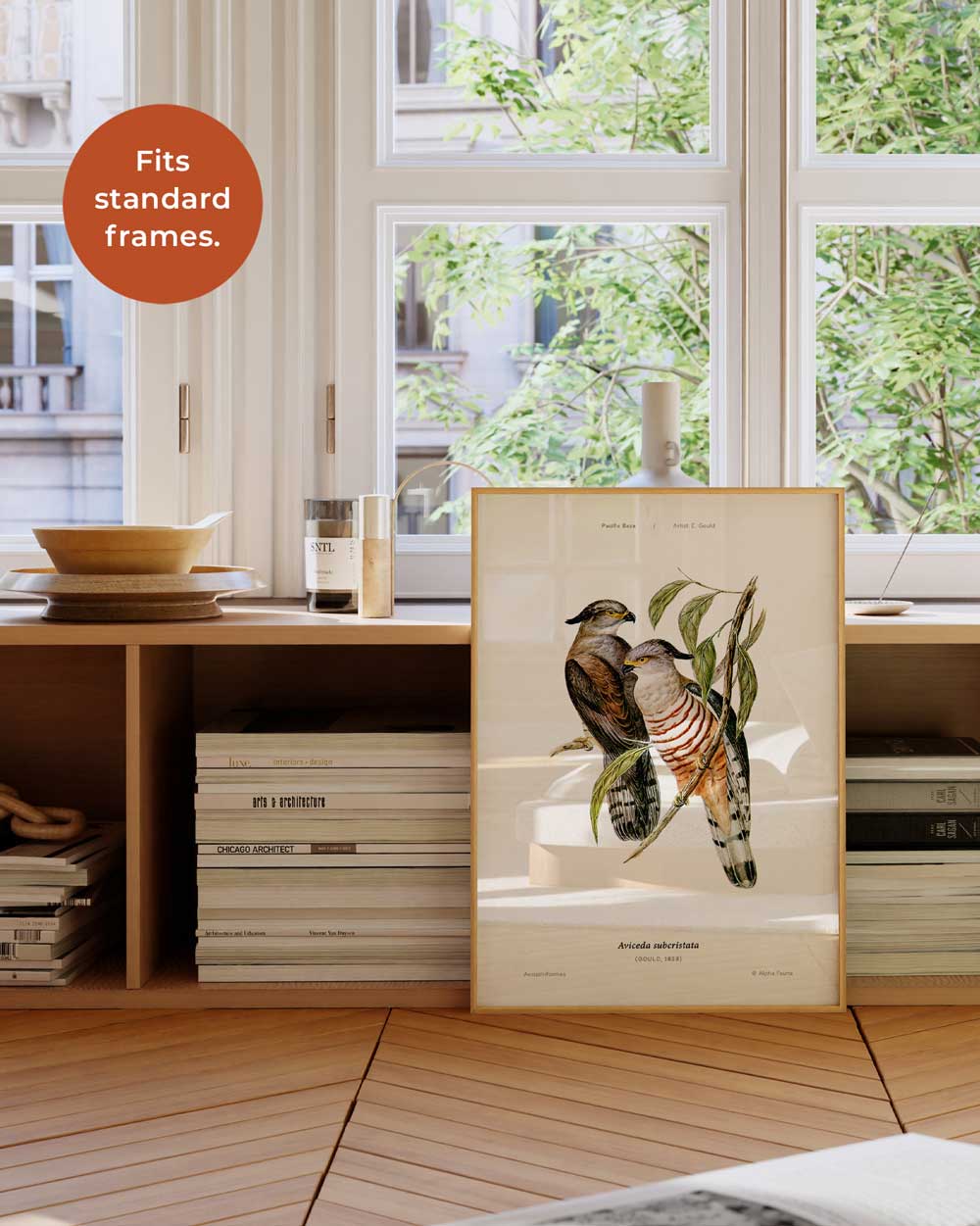 Pacific Baza Art Print