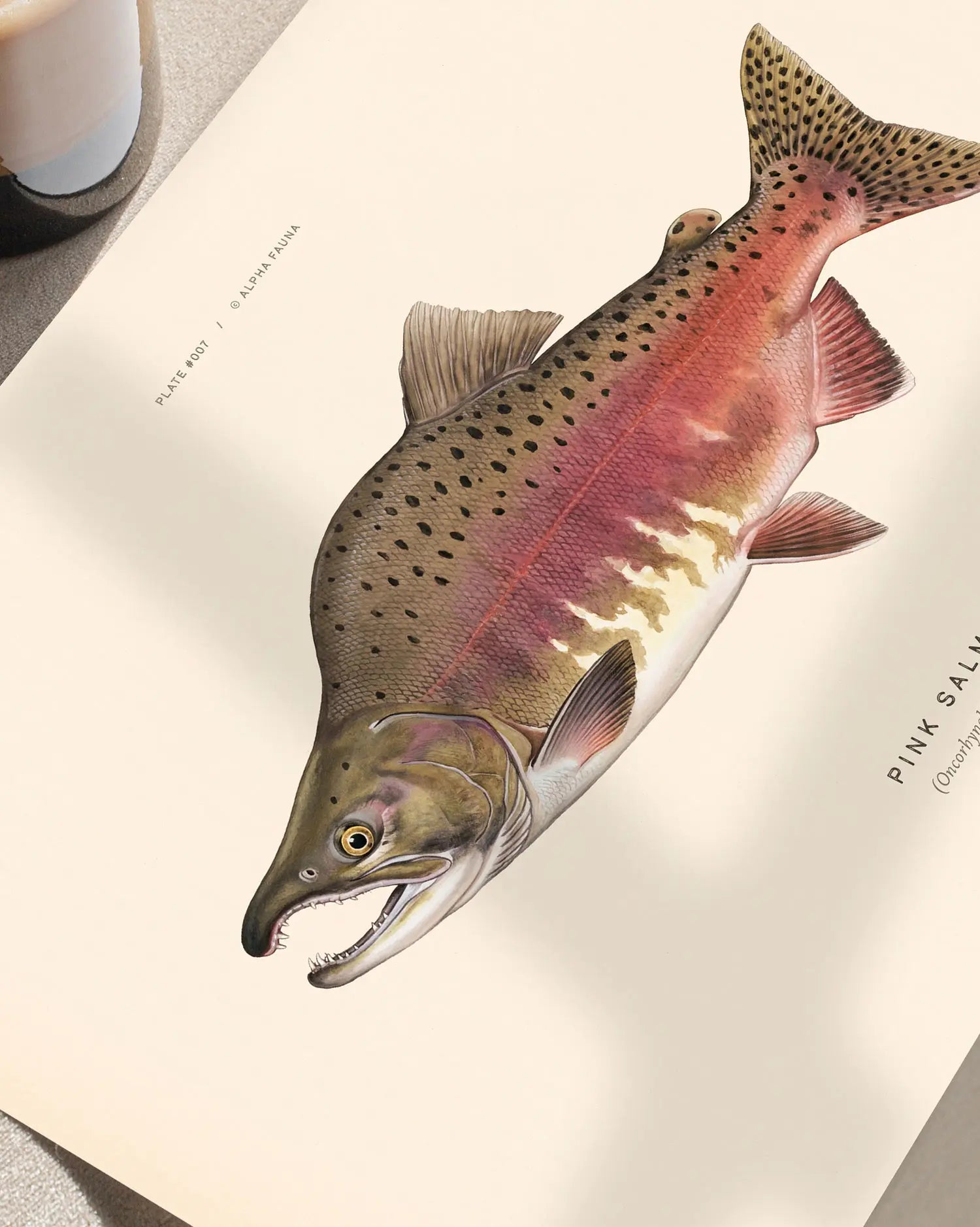 Close-up image of an art print featuring a pink salmon on a beige background with text.