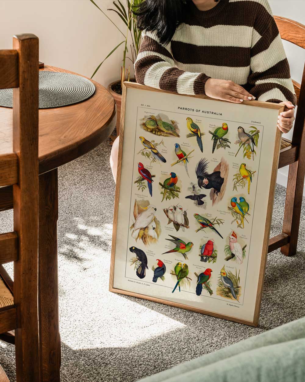 Parrots Of Australia Art Print