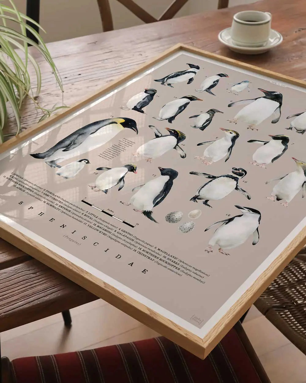 Penguins of the World Art Print