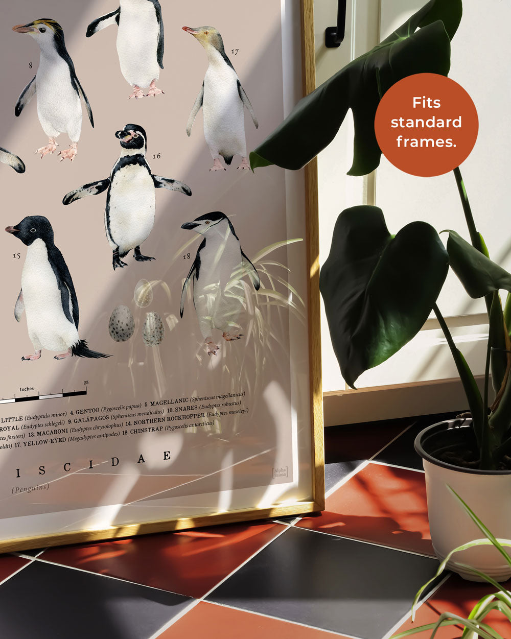 Penguins Of The World Art Print