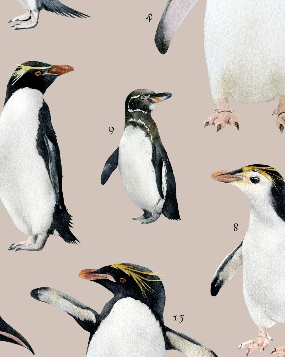 Close-up illustrations of penguins on a beige background