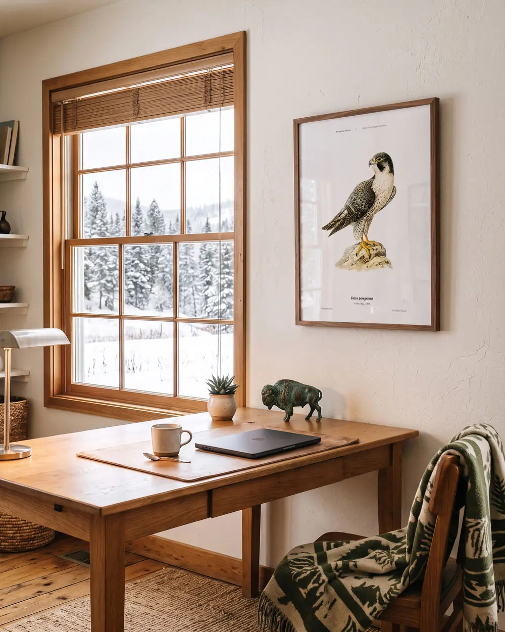 Peregrine Falcon Art Print