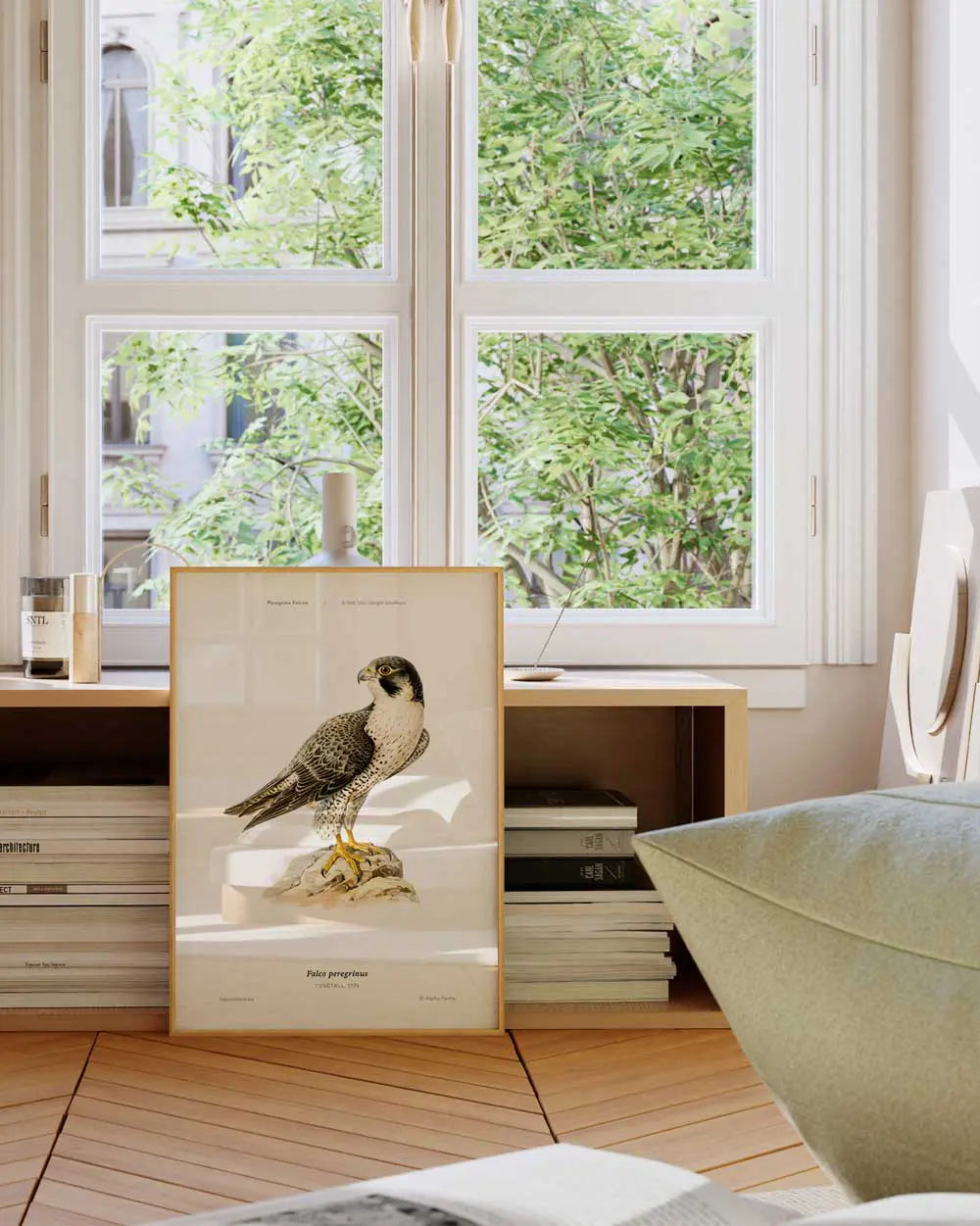 Peregrine Falcon Art Print