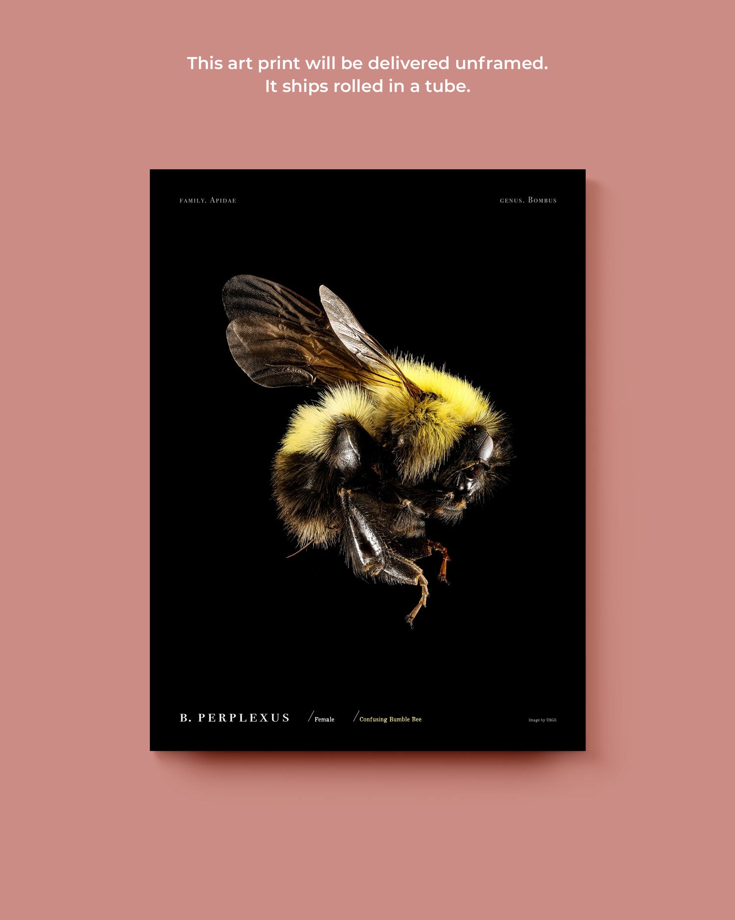 Confusing Bumble Bee Art Print