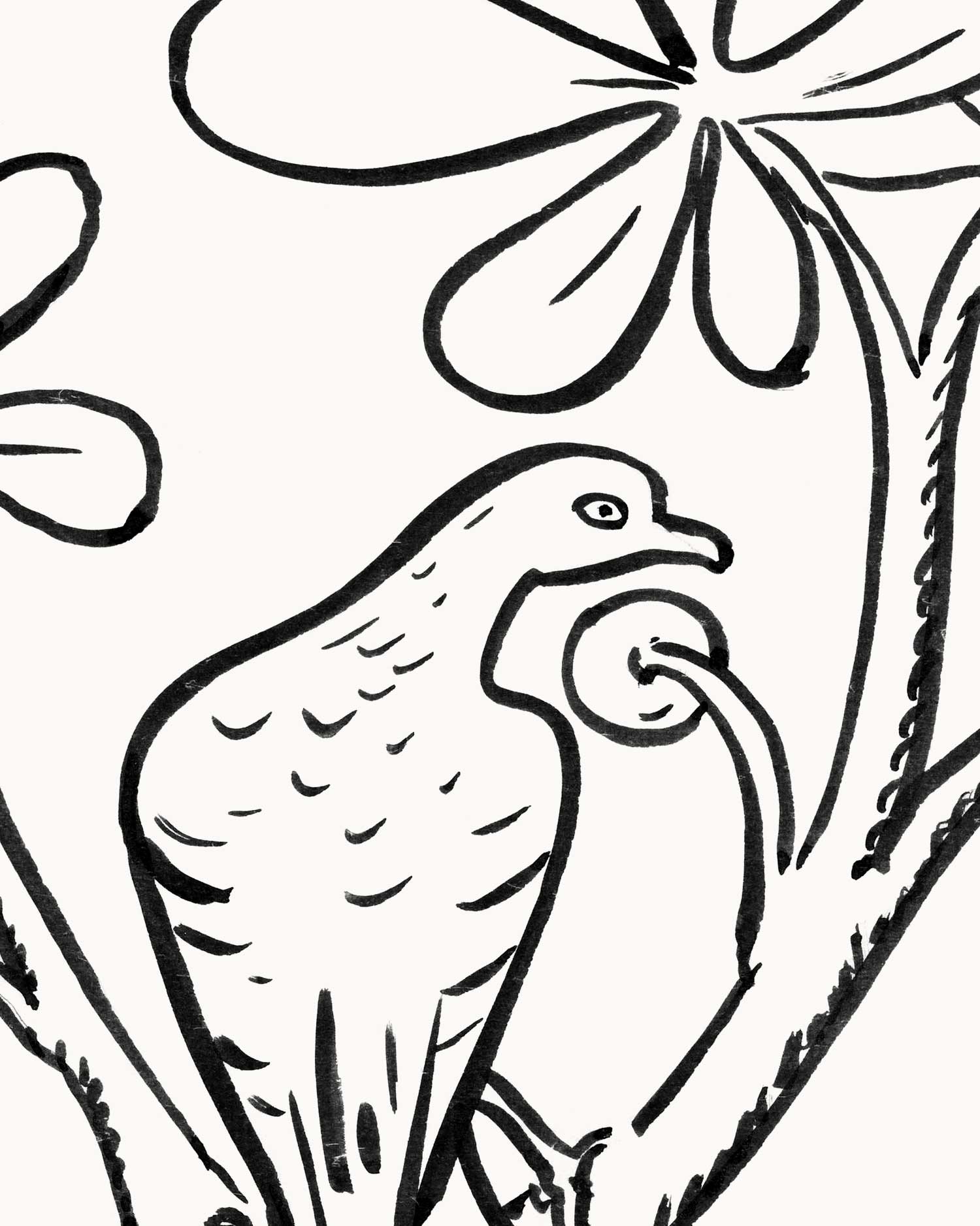 Pigeon Sketch Art Print