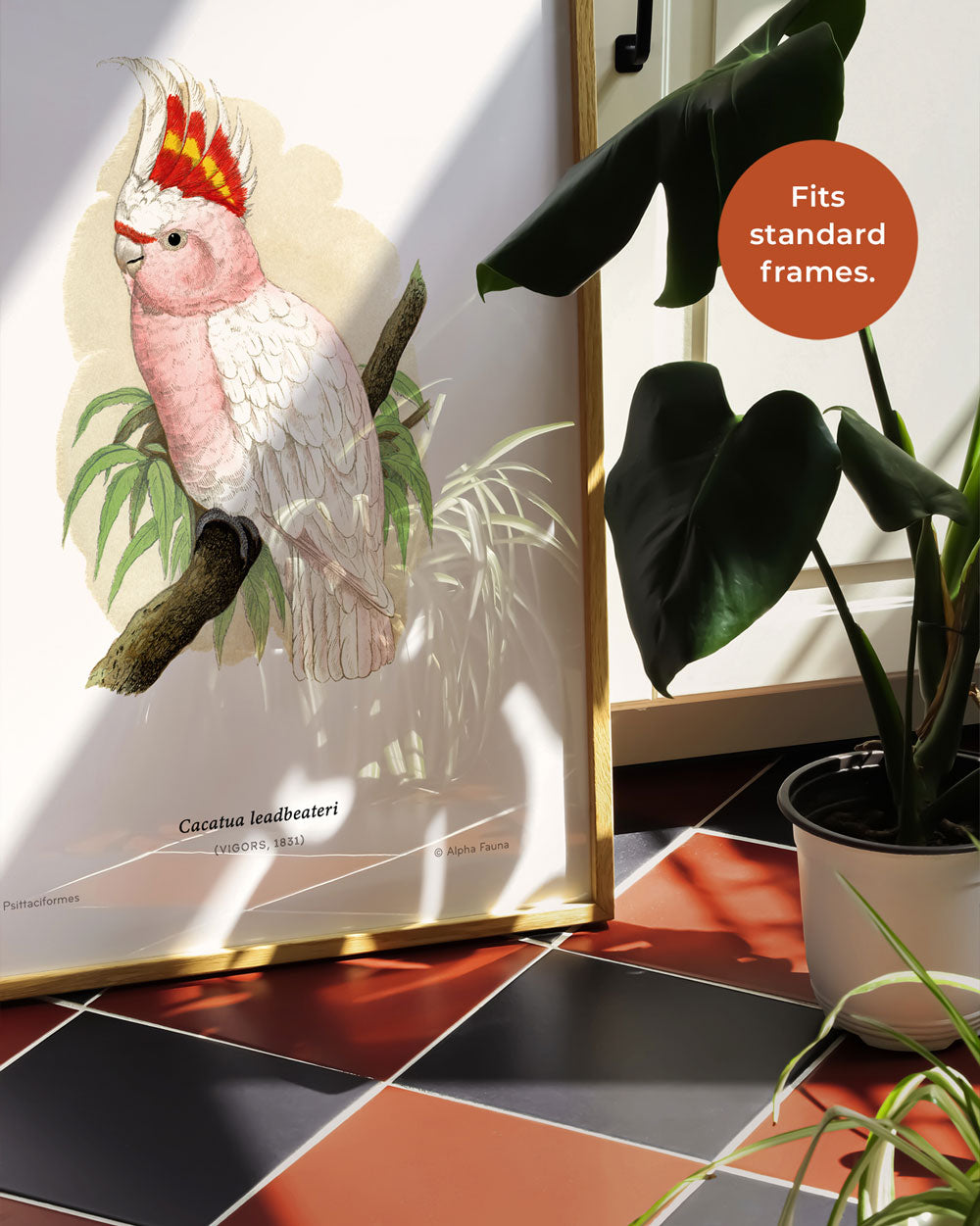 Pink Cockatoo Art Print
