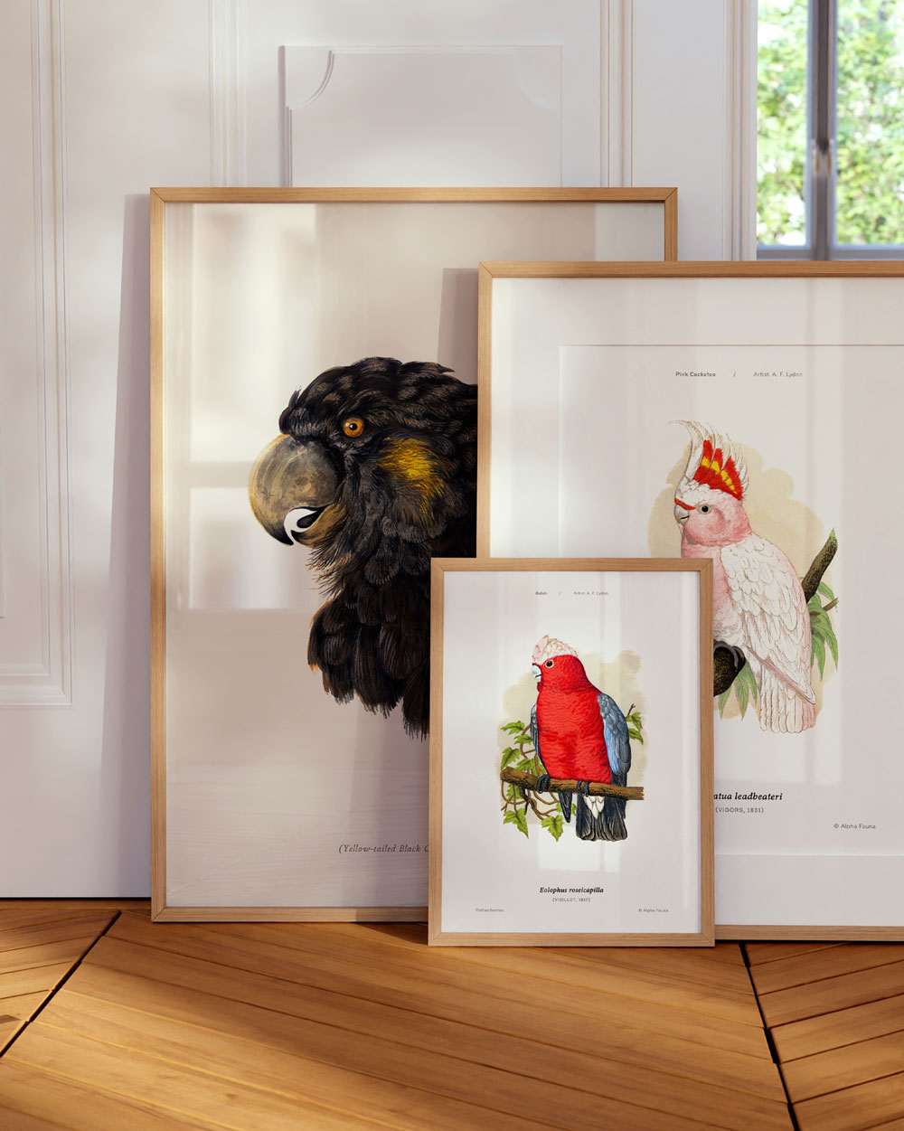 Pink Cockatoo Art Print