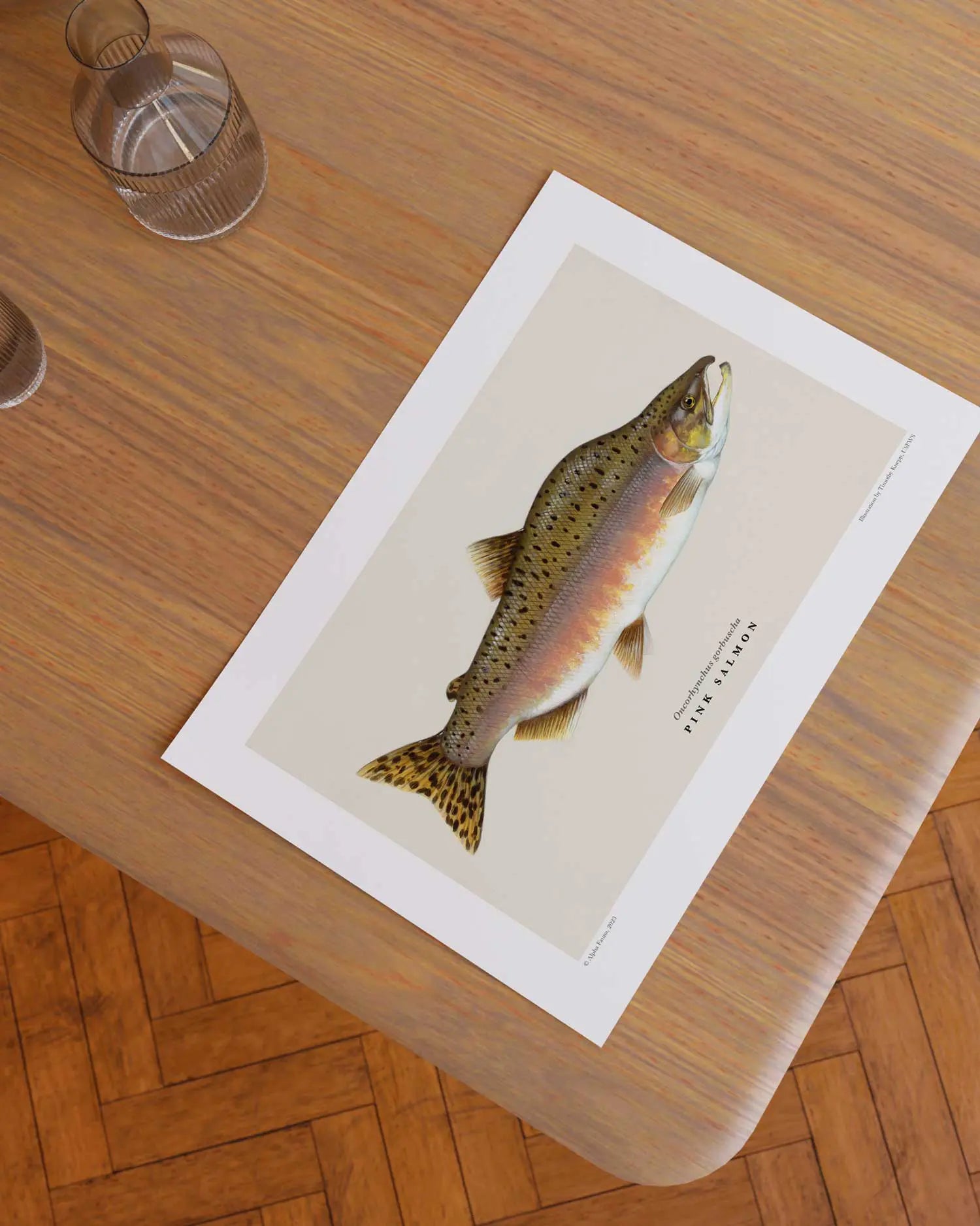 Pink Salmon Art Print