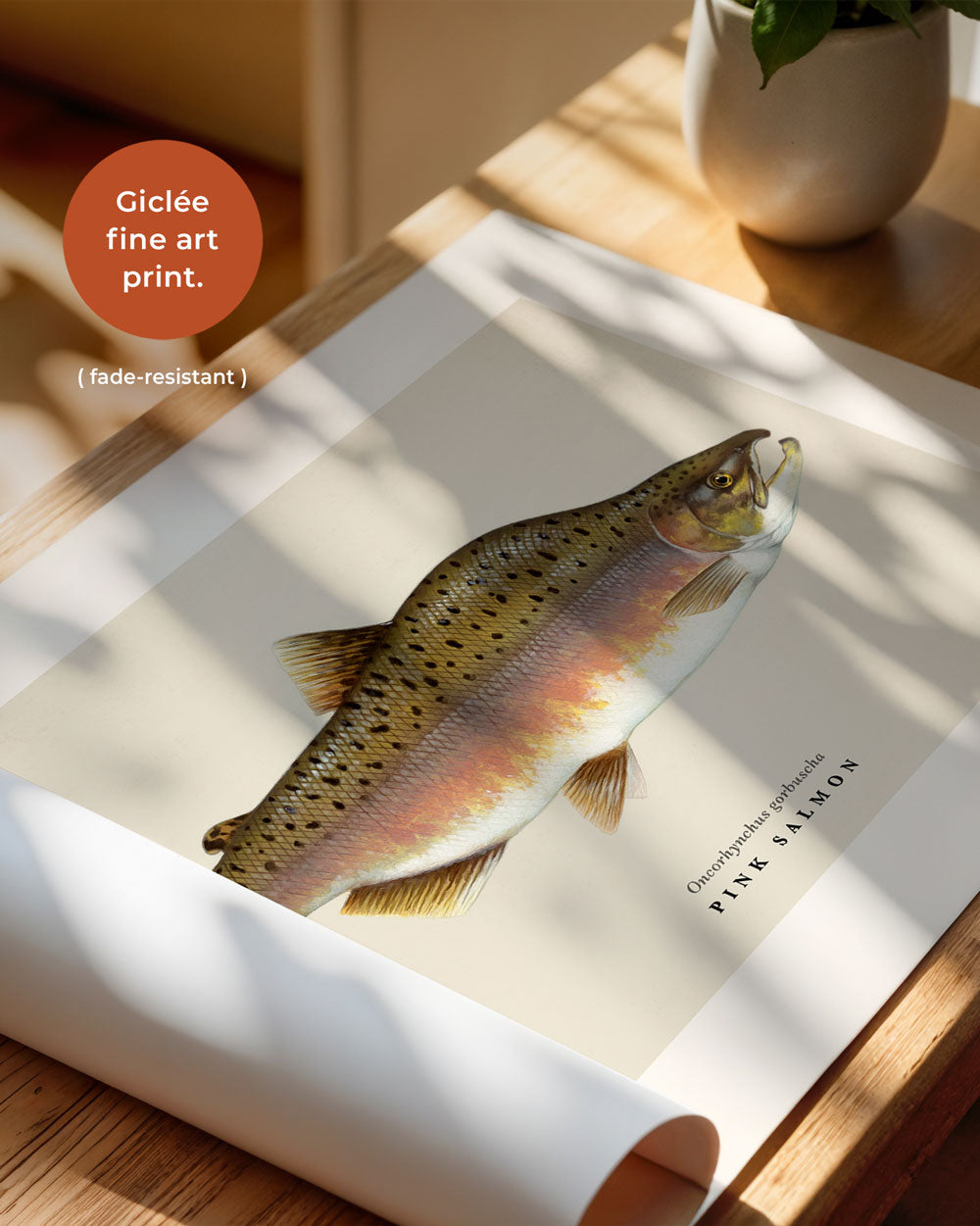 Pink Salmon Art Print