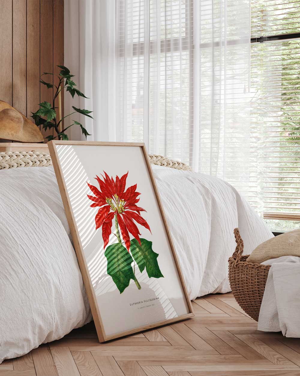 Poinsettia Fine Art Print