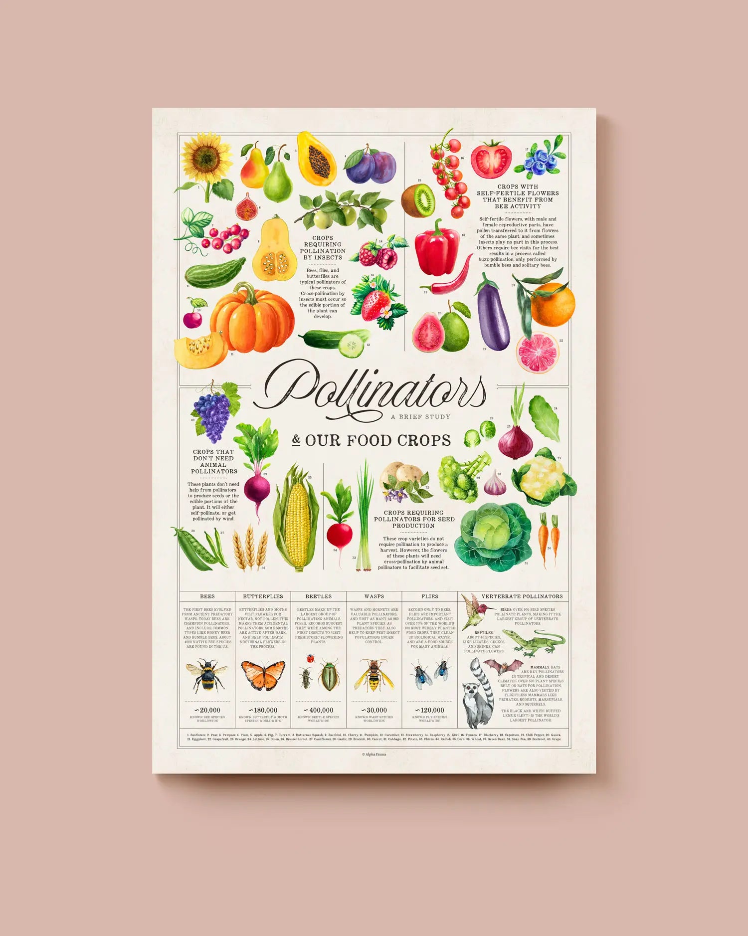 Educational poster about pollinators and food crops on a beige background. * Unframed print