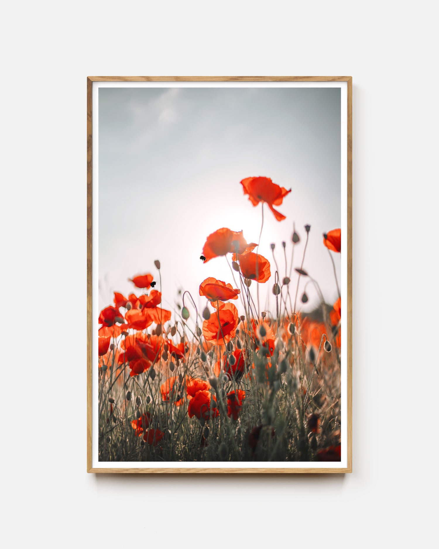 Poppy Field Art Print