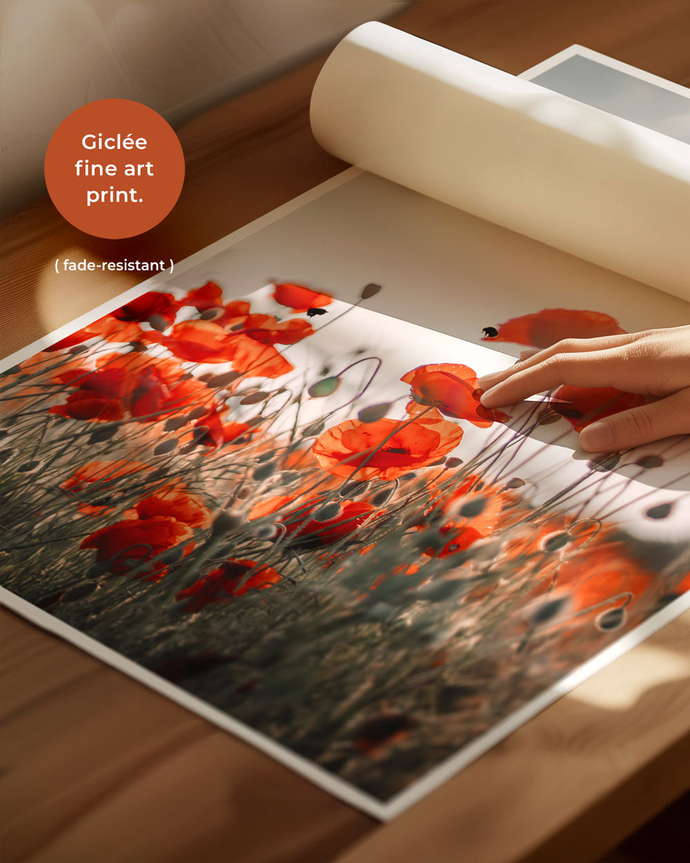 Poppy Field Art Print