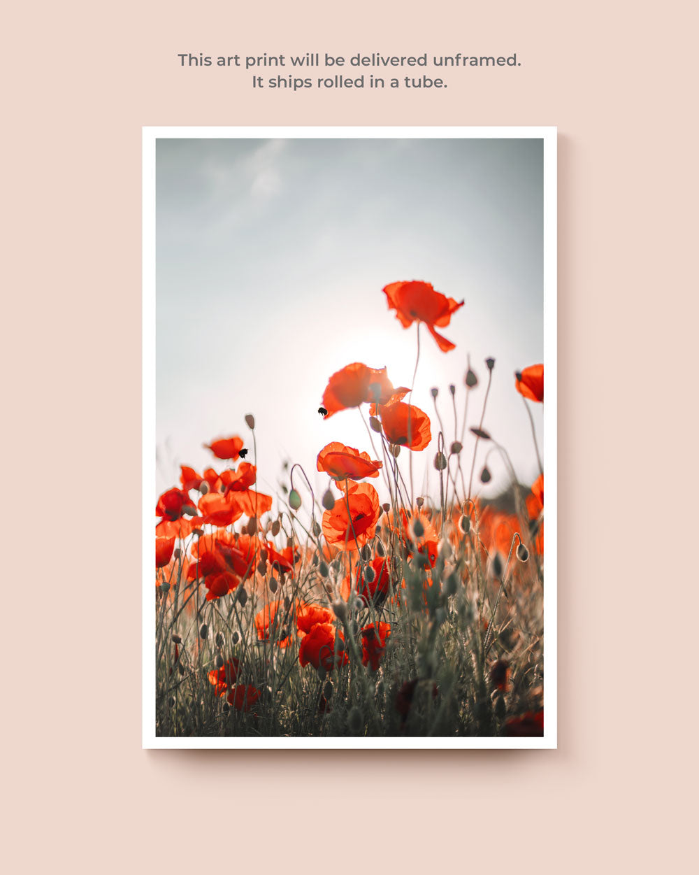 Poppy Field Art Print