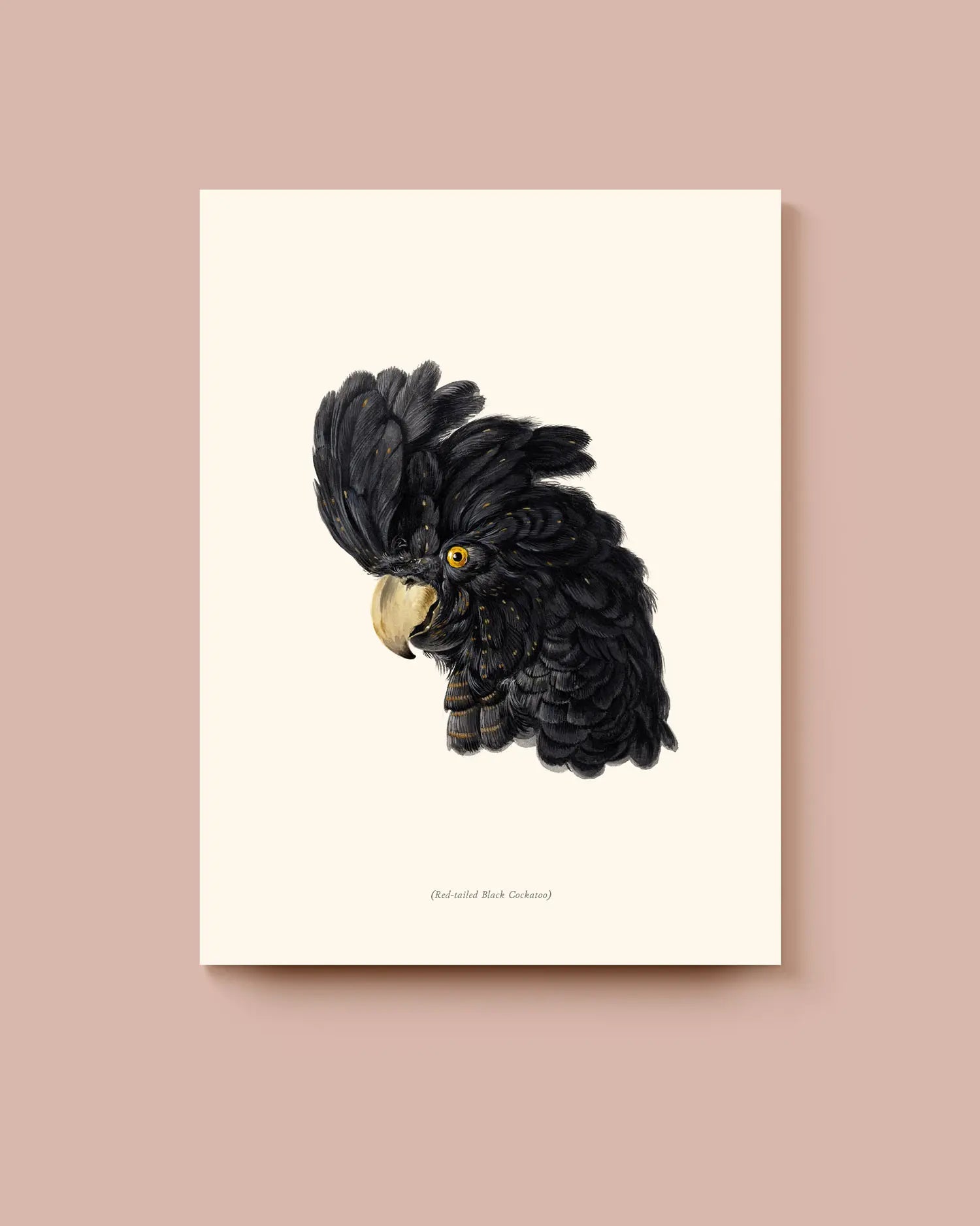 An art print featuring a portrait of a black cockatoo on a beige background. * Unframed print