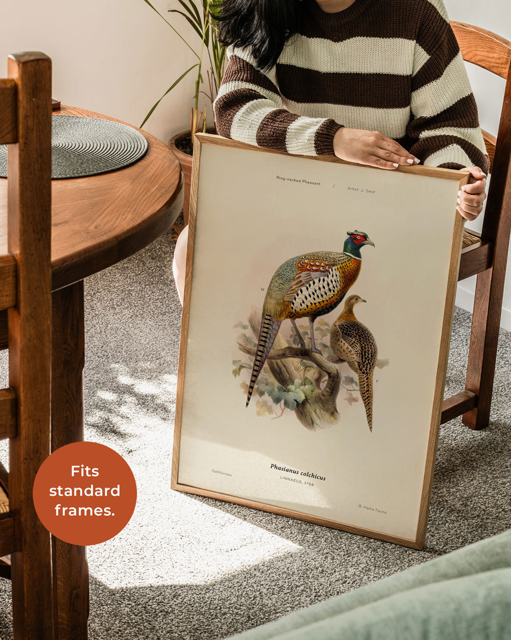 Ring-Necked Pheasant Art Print