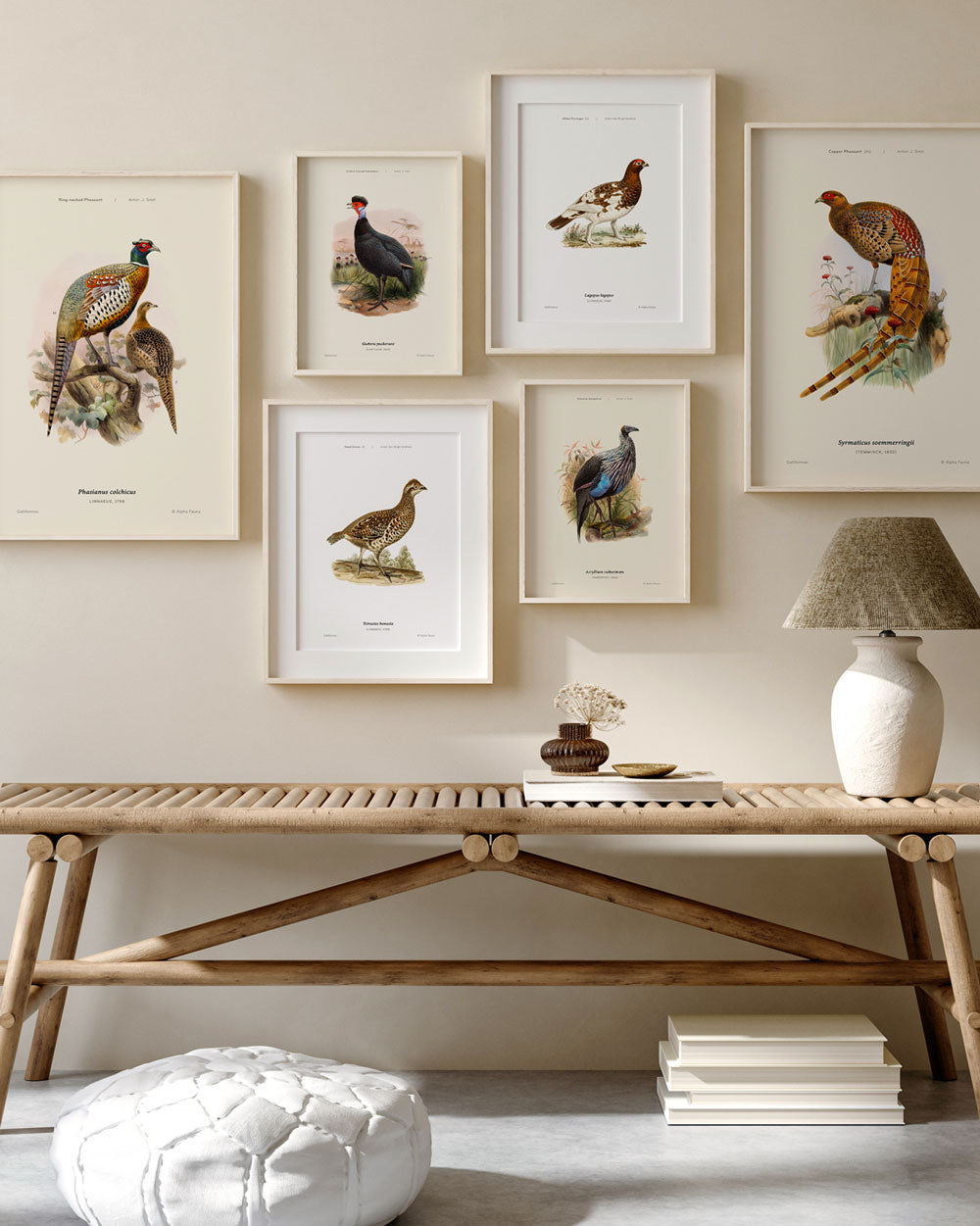 Ring-Necked Pheasant Art Print