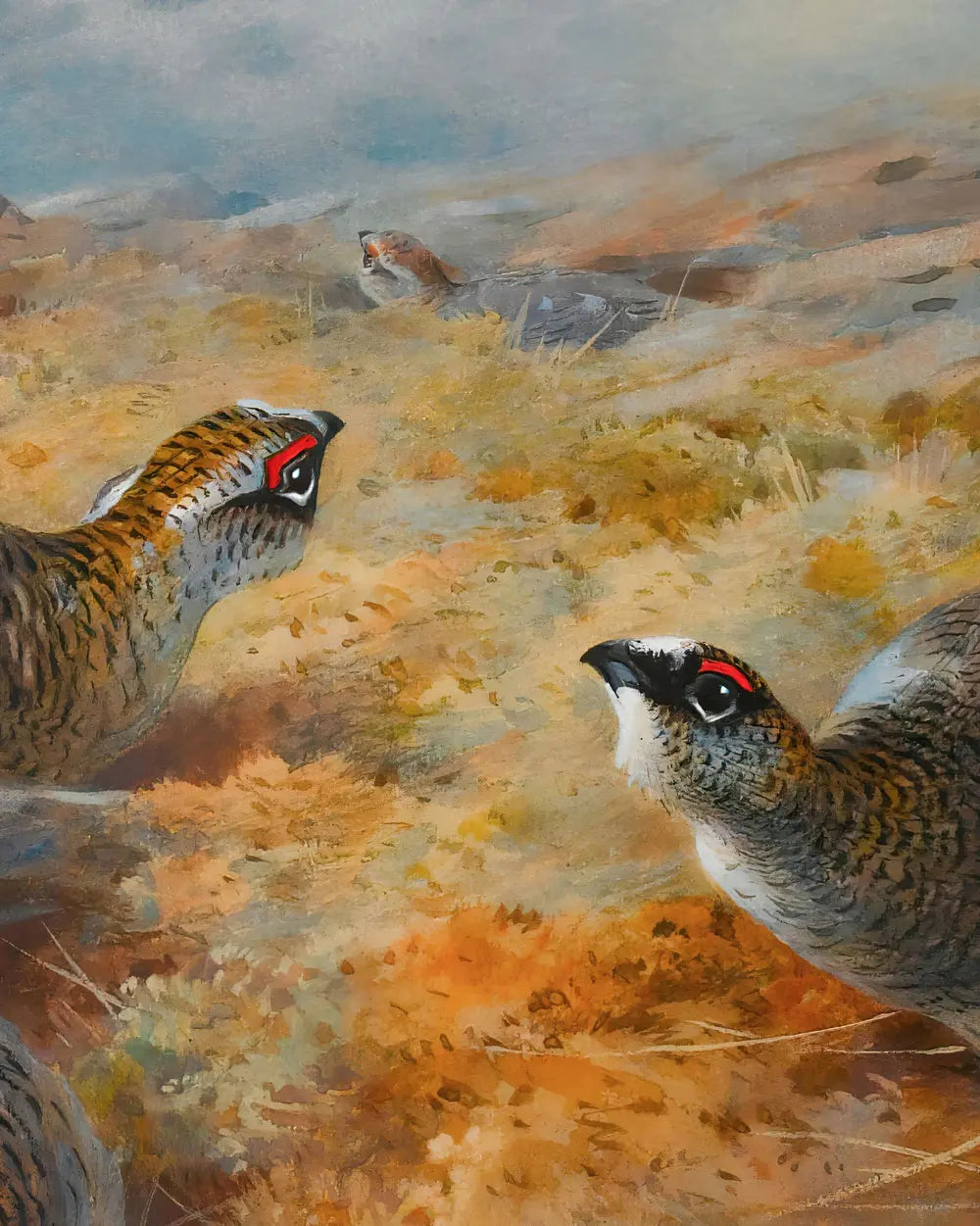 Rock Ptarmigan in the Highlands – Master Exhibit Edition