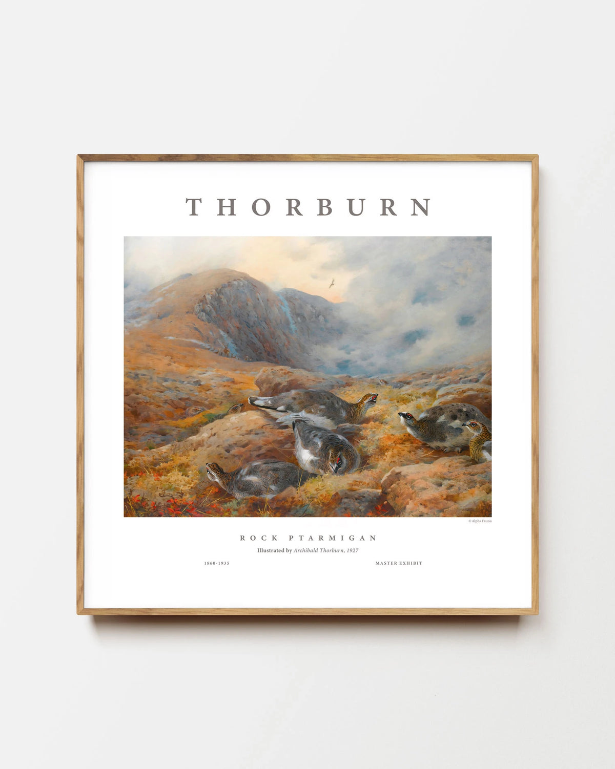 Rock Ptarmigan in the Highlands – Master Exhibit Edition