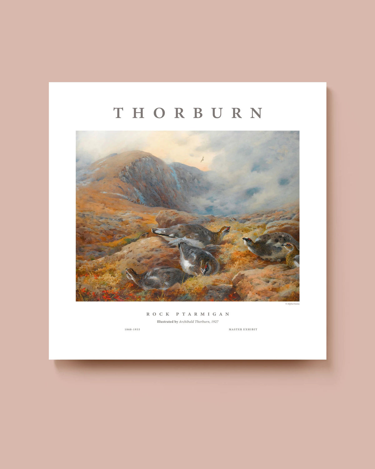 Rock Ptarmigan in the Highlands – Master Exhibit Edition