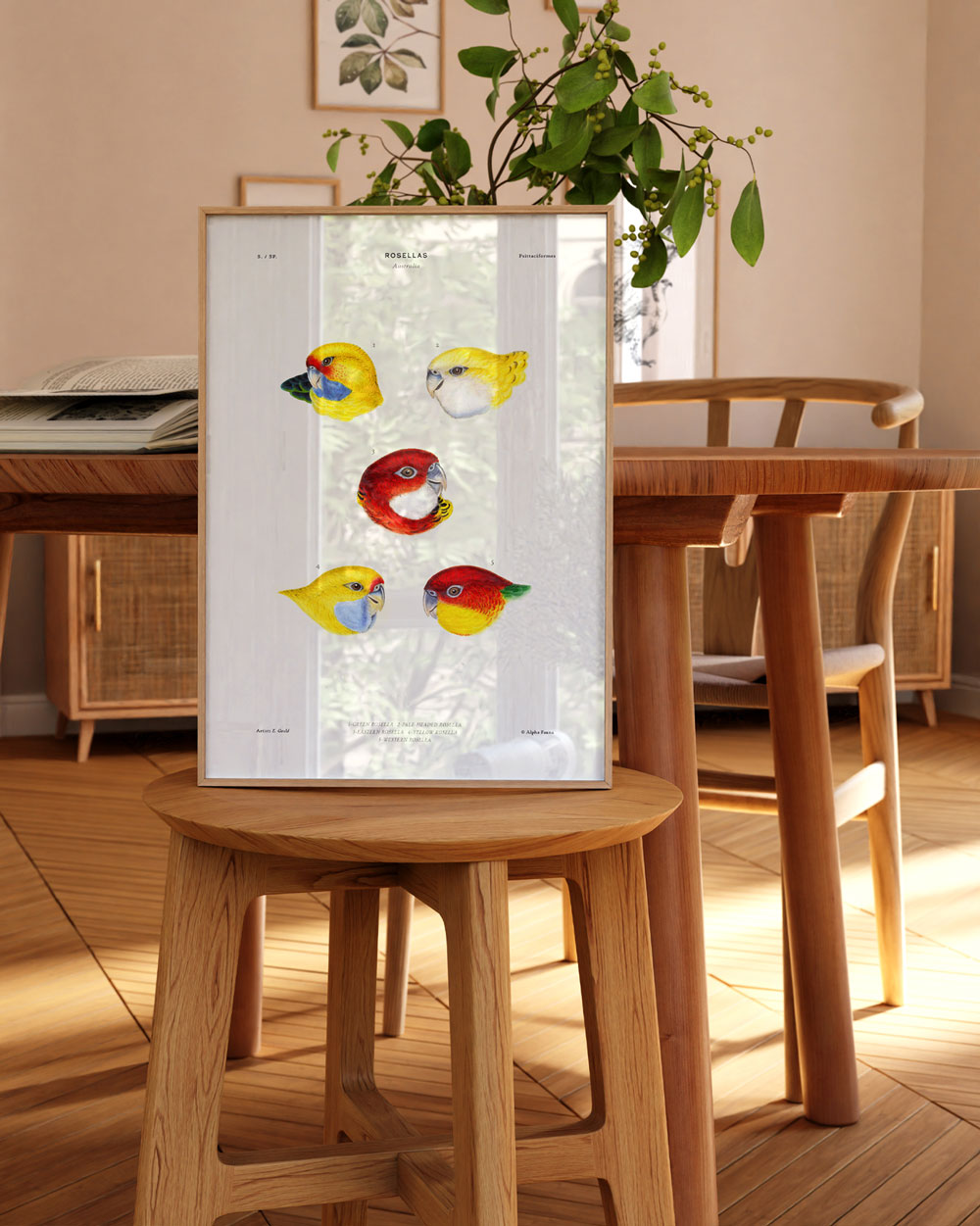 Rosellas Of Australia Art Print