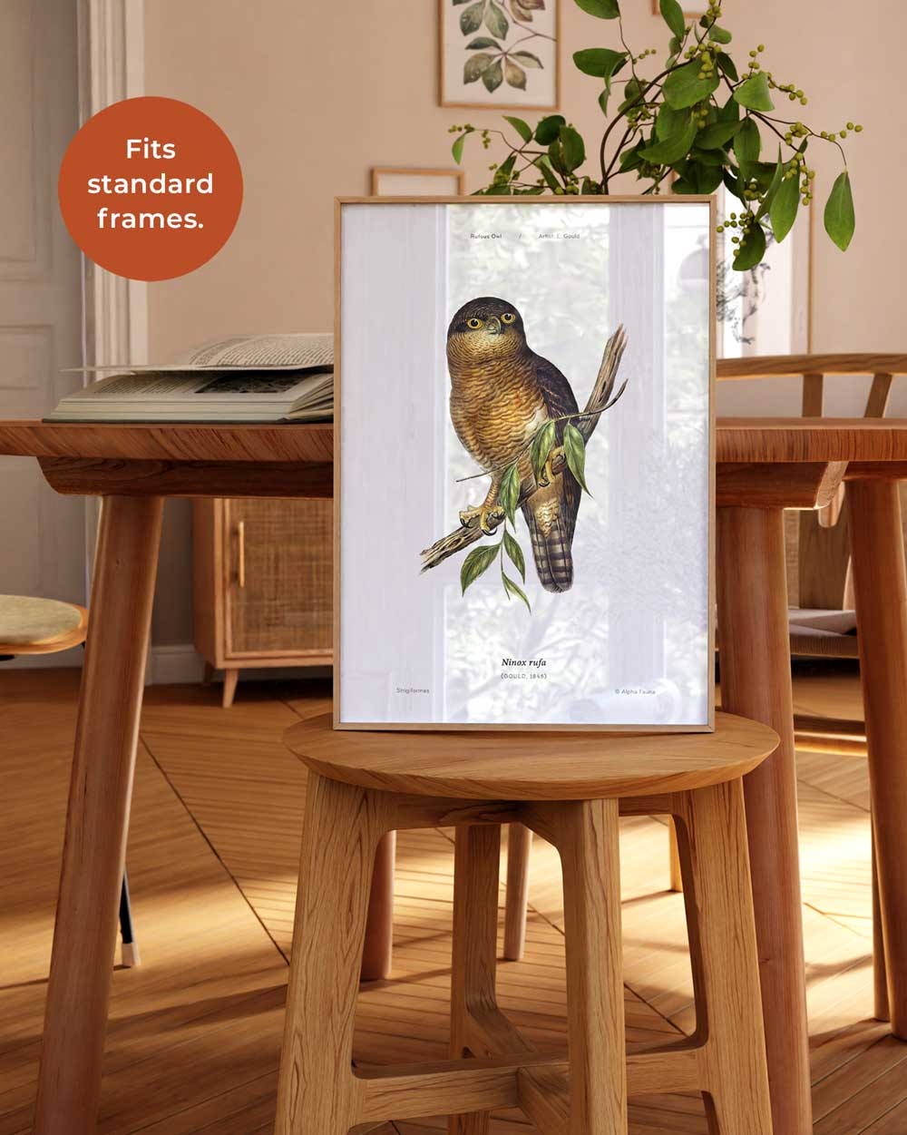 Rufous Owl Art Print