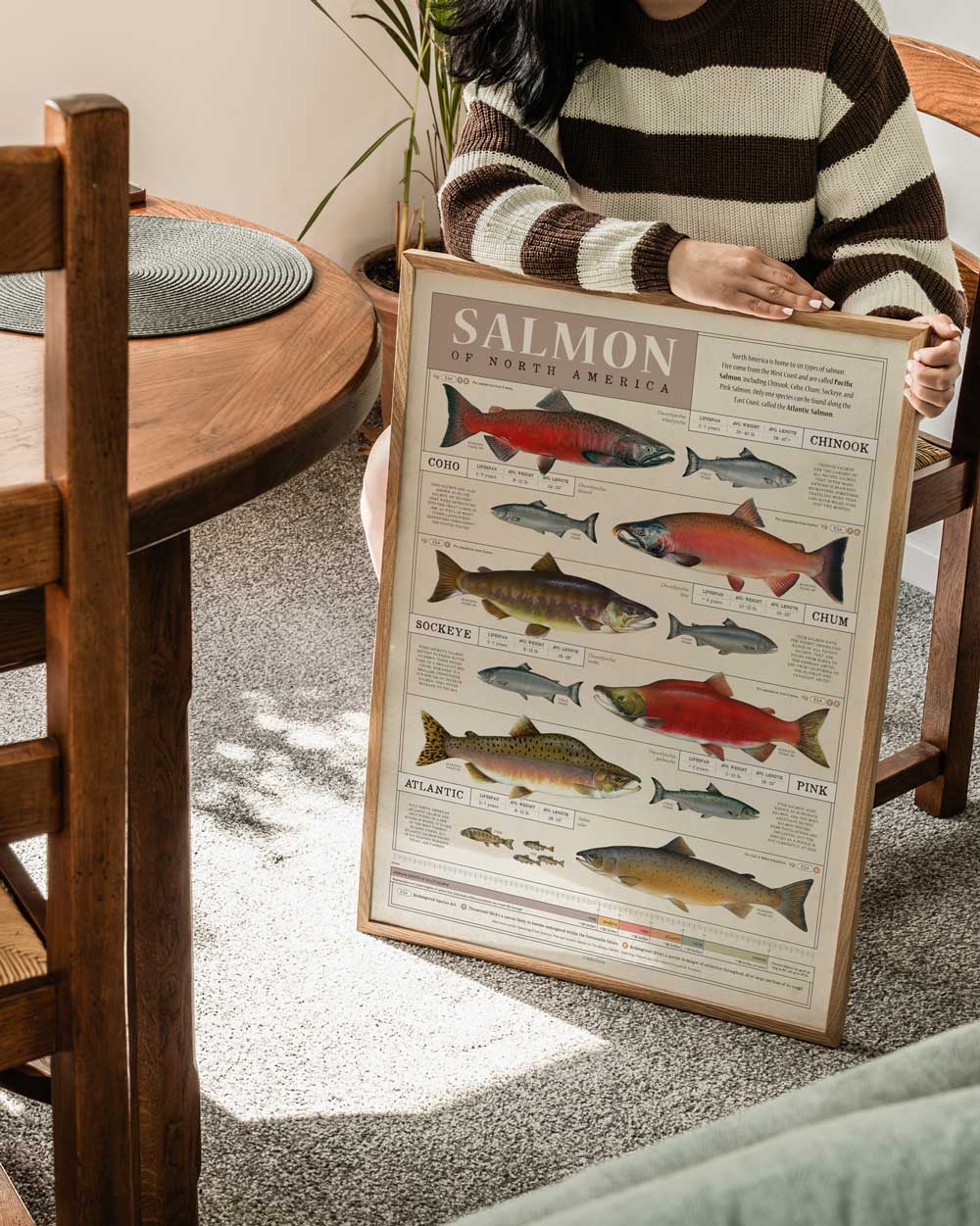 Salmon Of North America Art Print