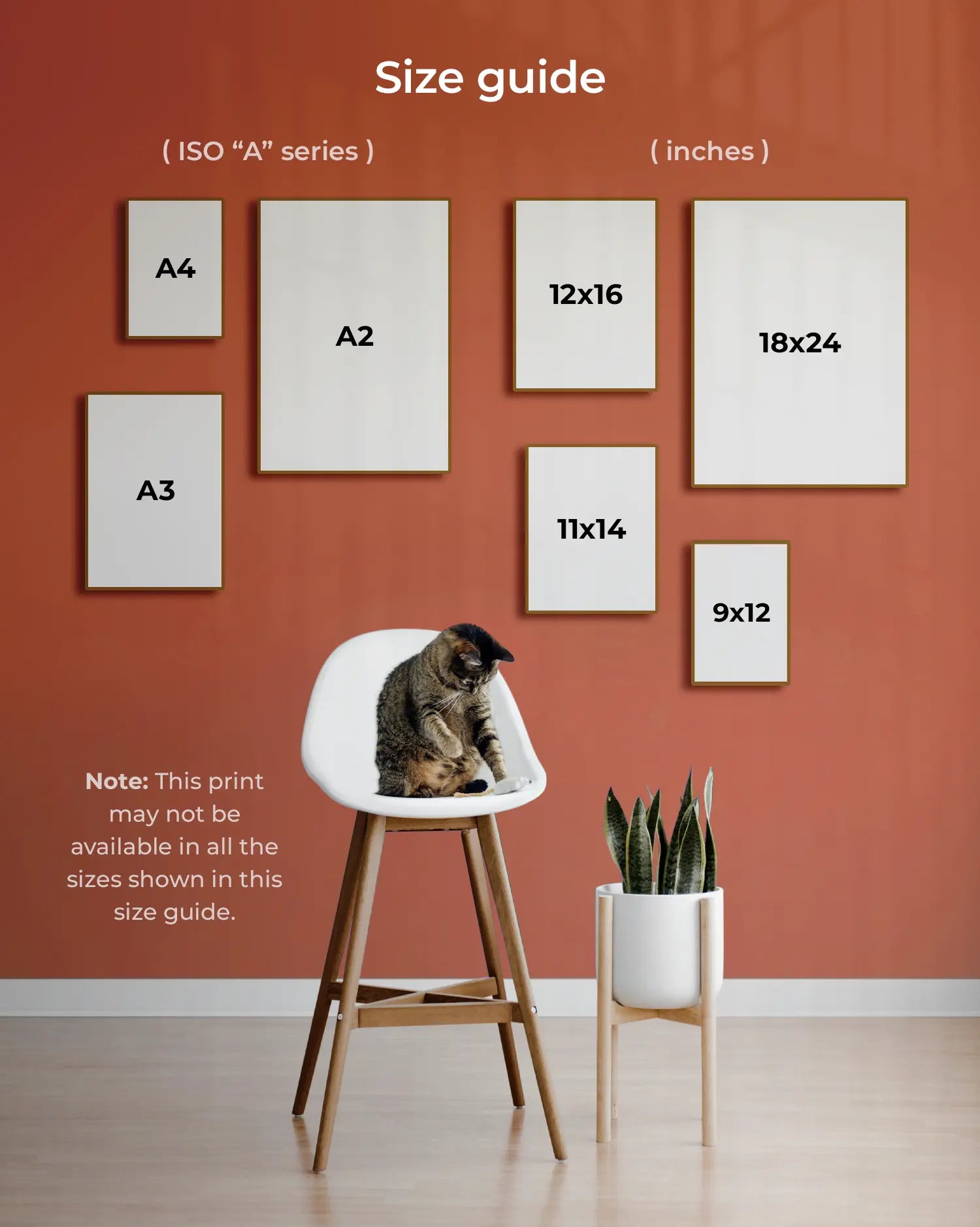 Size guide for different paper sizes on a wall with a cat sitting on a stool.