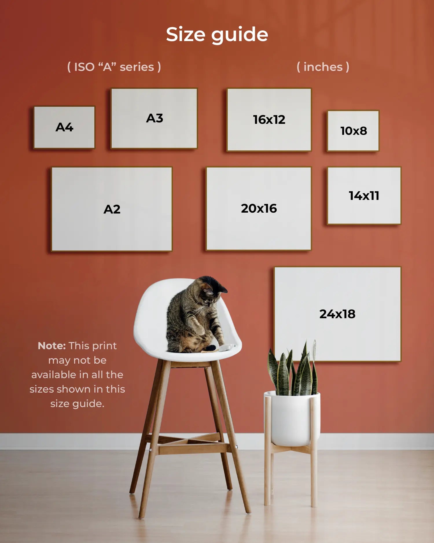 African Lion Art Print