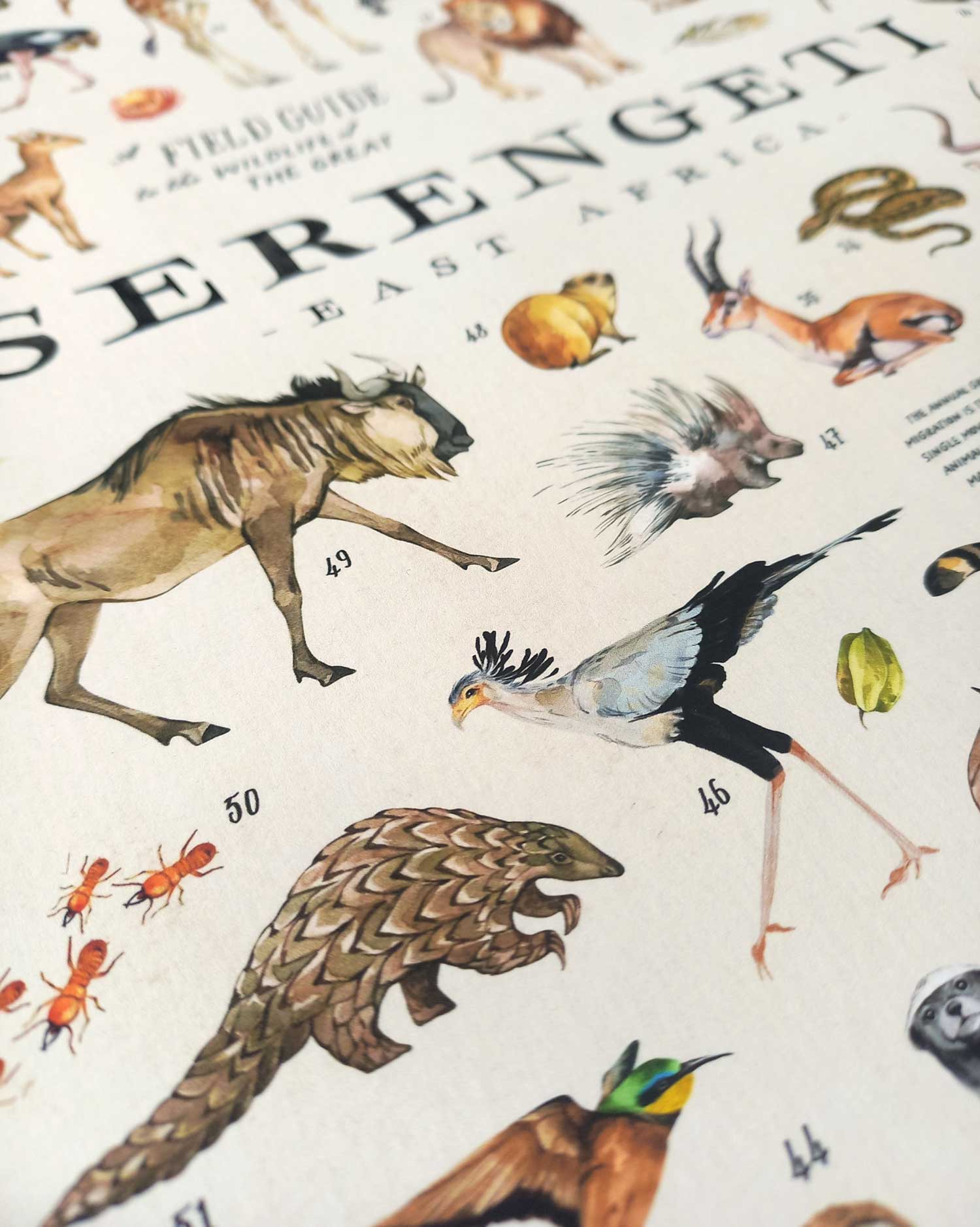 Wildlife Of The Serengeti Art Print