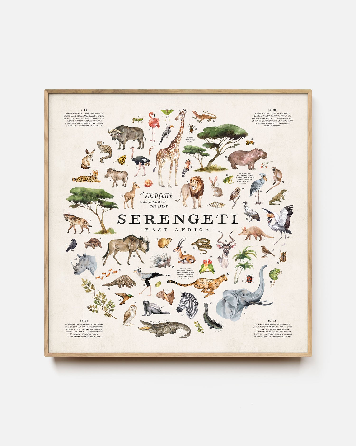 Wildlife Of The Serengeti Art Print