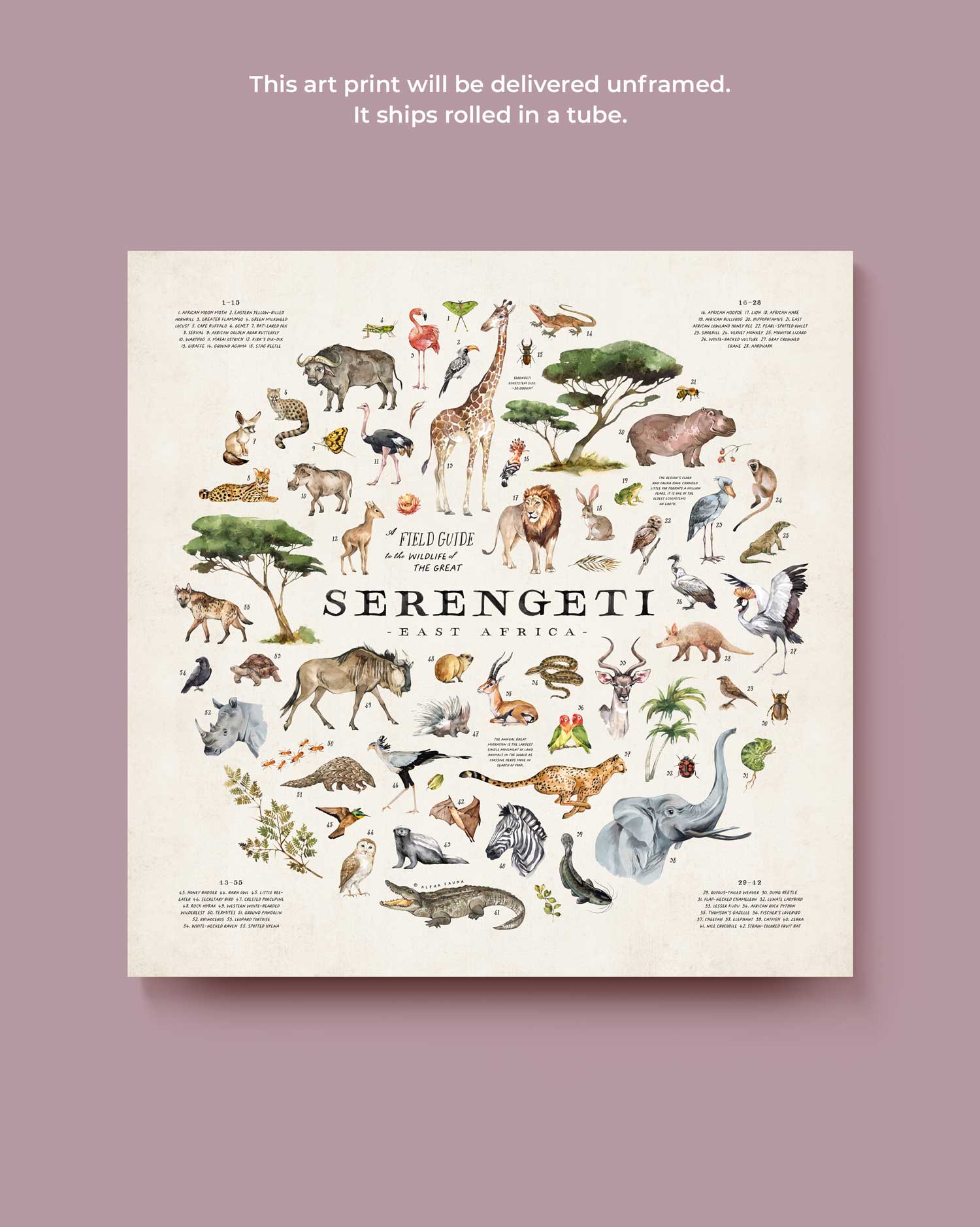 Wildlife Of The Serengeti Art Print