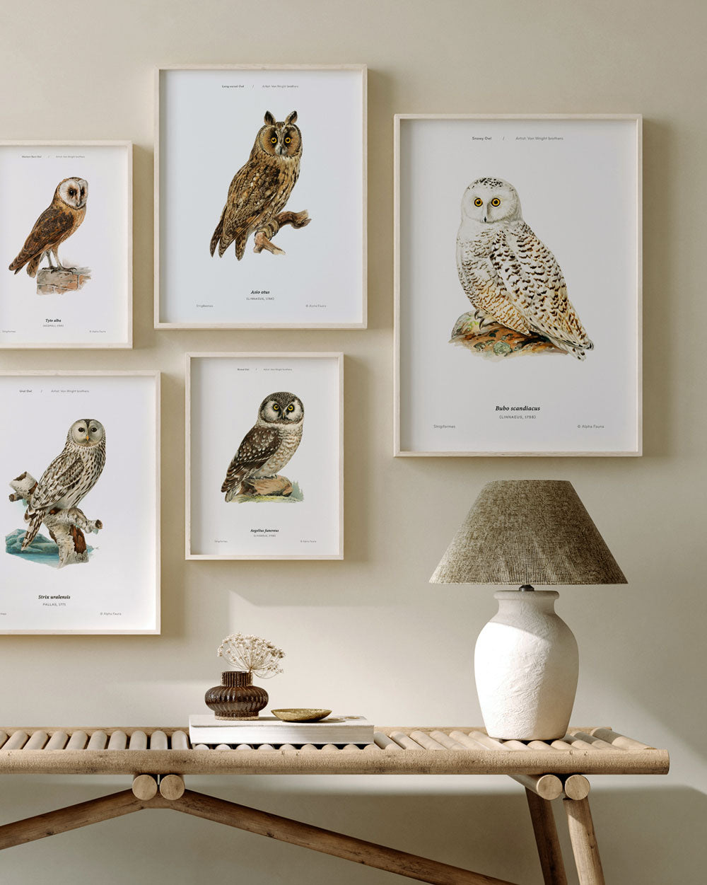 Snowy Owl Art Print