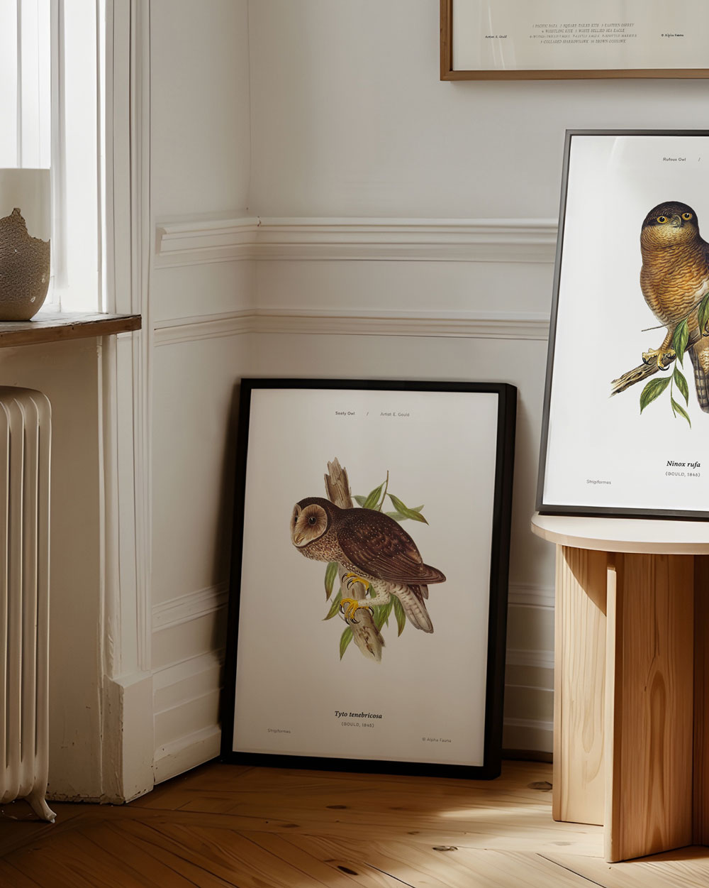 Sooty Owl Art Print