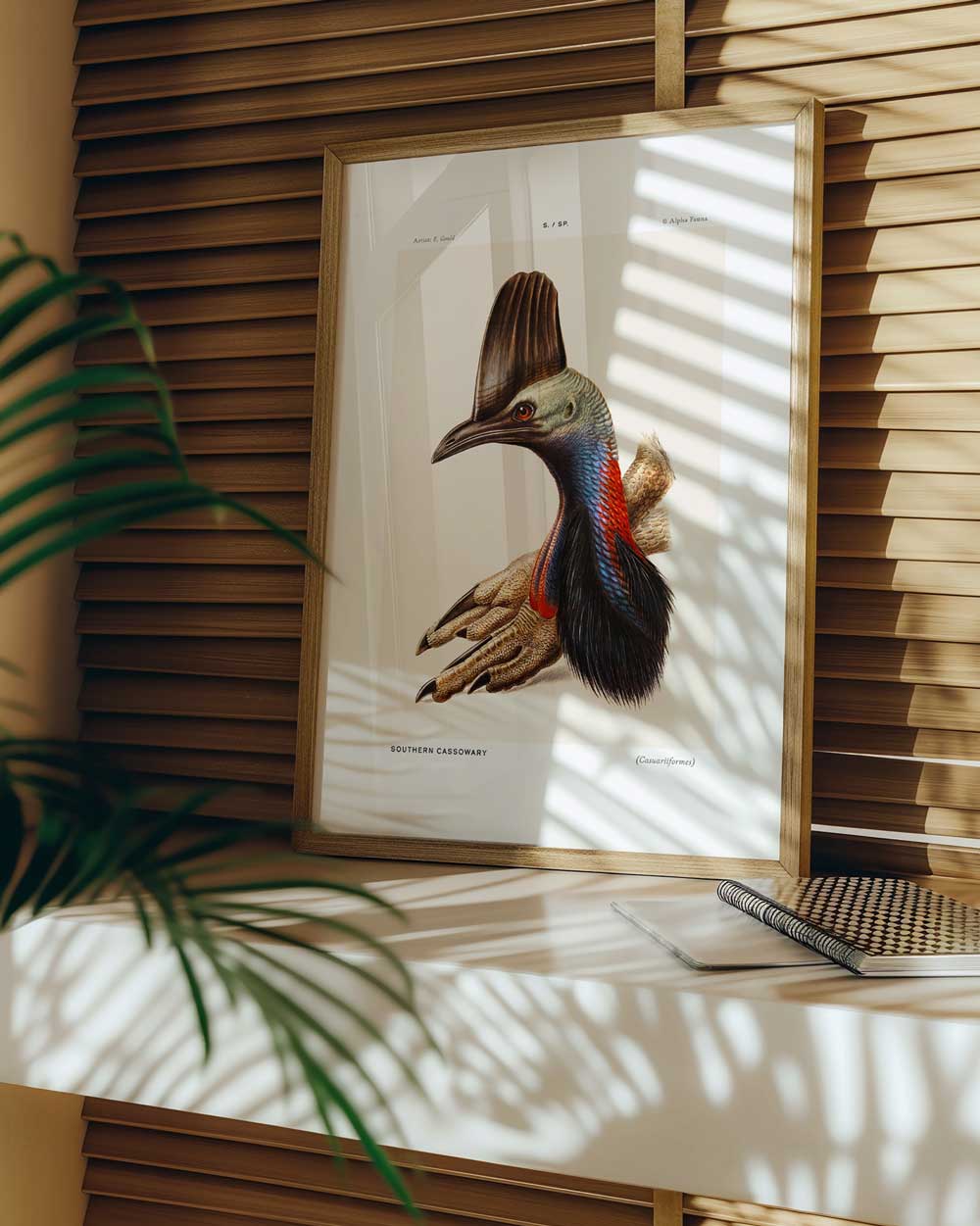 Southern Cassowary Portrait Art Print