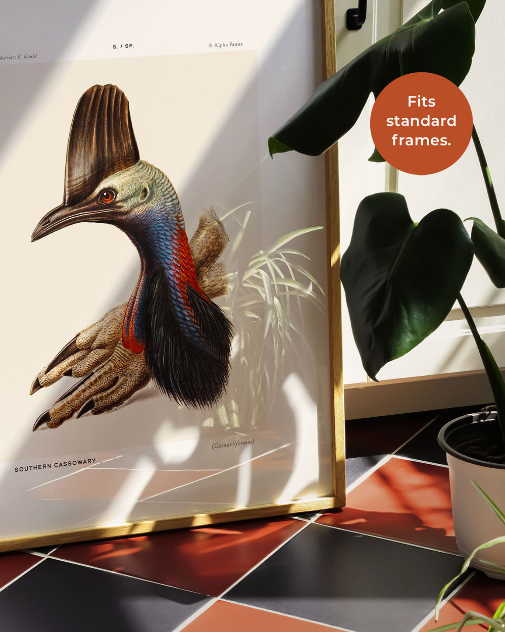 Southern Cassowary Portrait Art Print