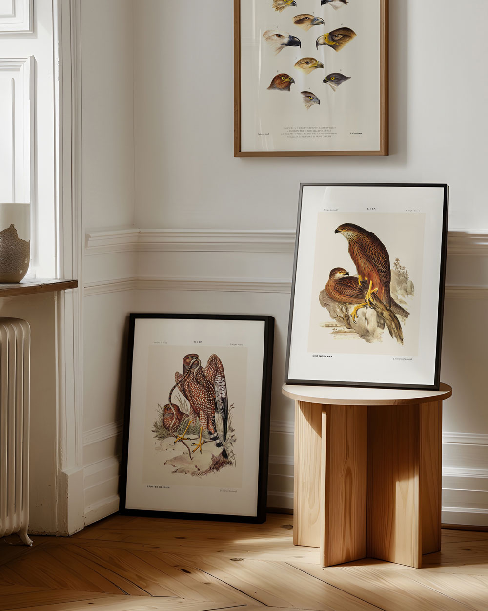 Spotted Harrier Art Print