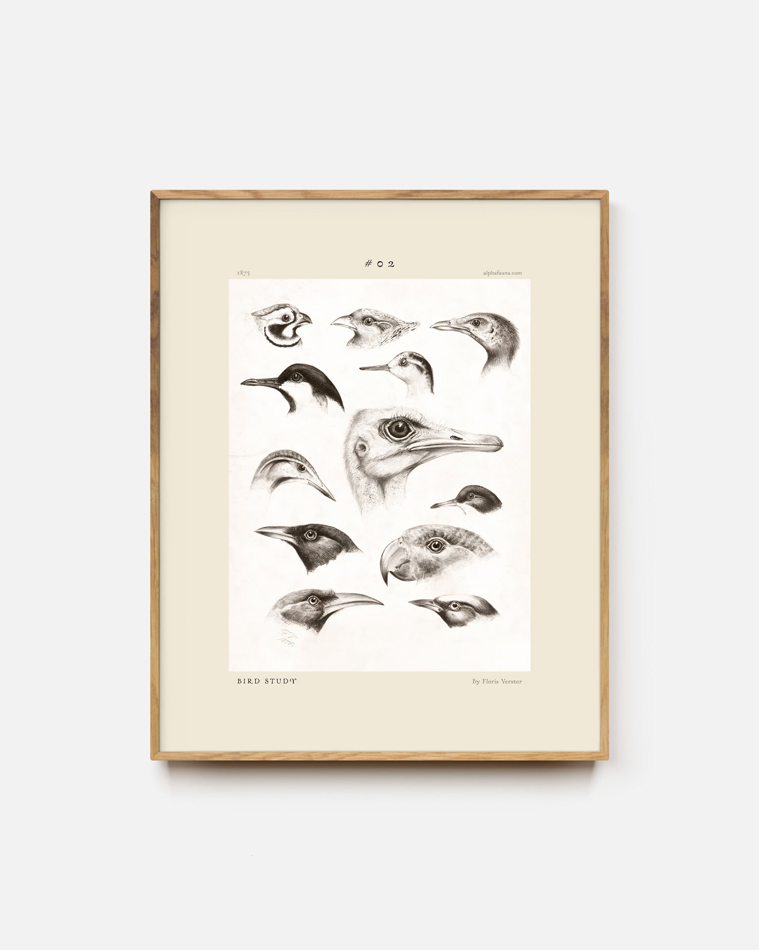 Twelve Bird Heads Art Print