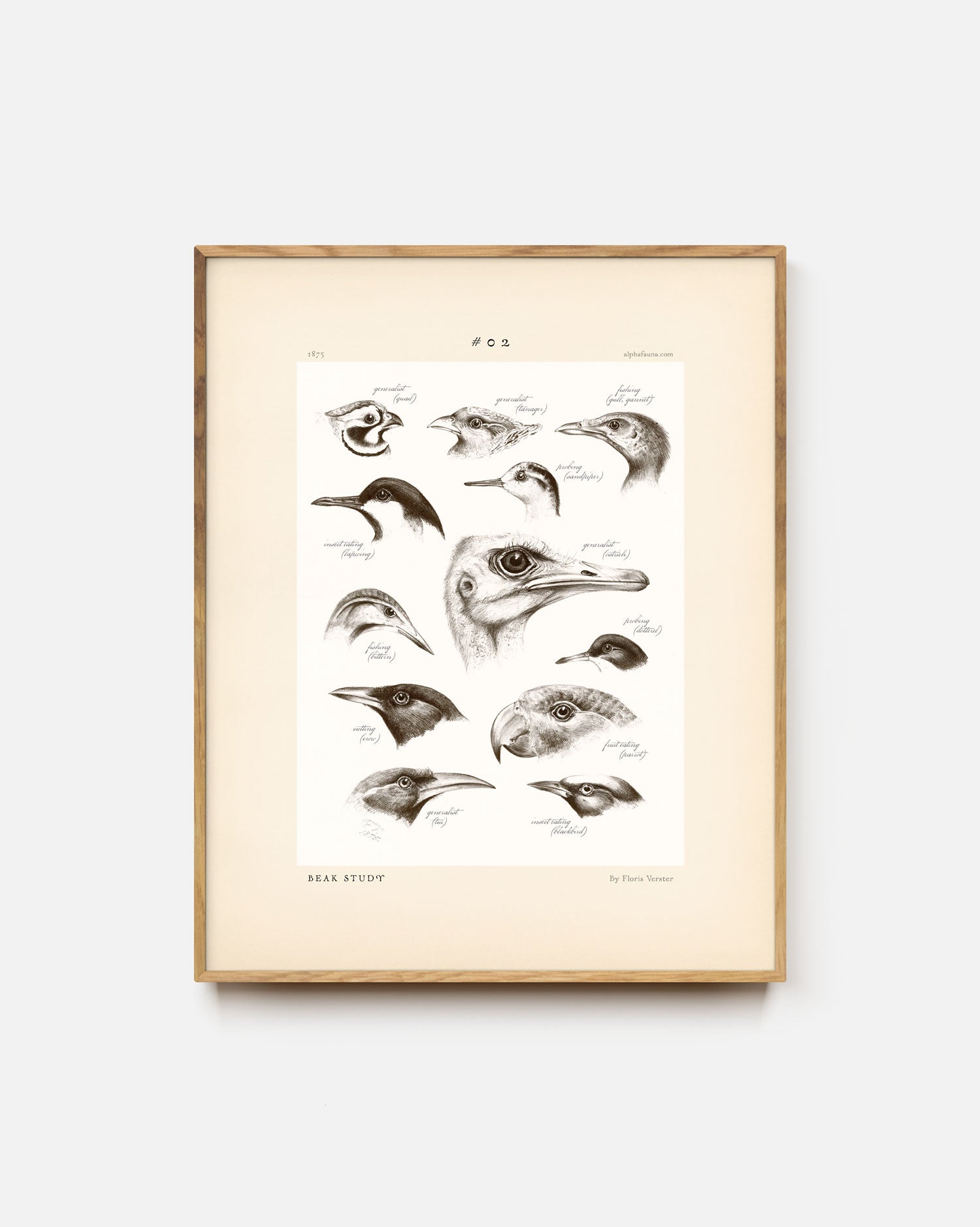 Twelve Bird Heads Art Print