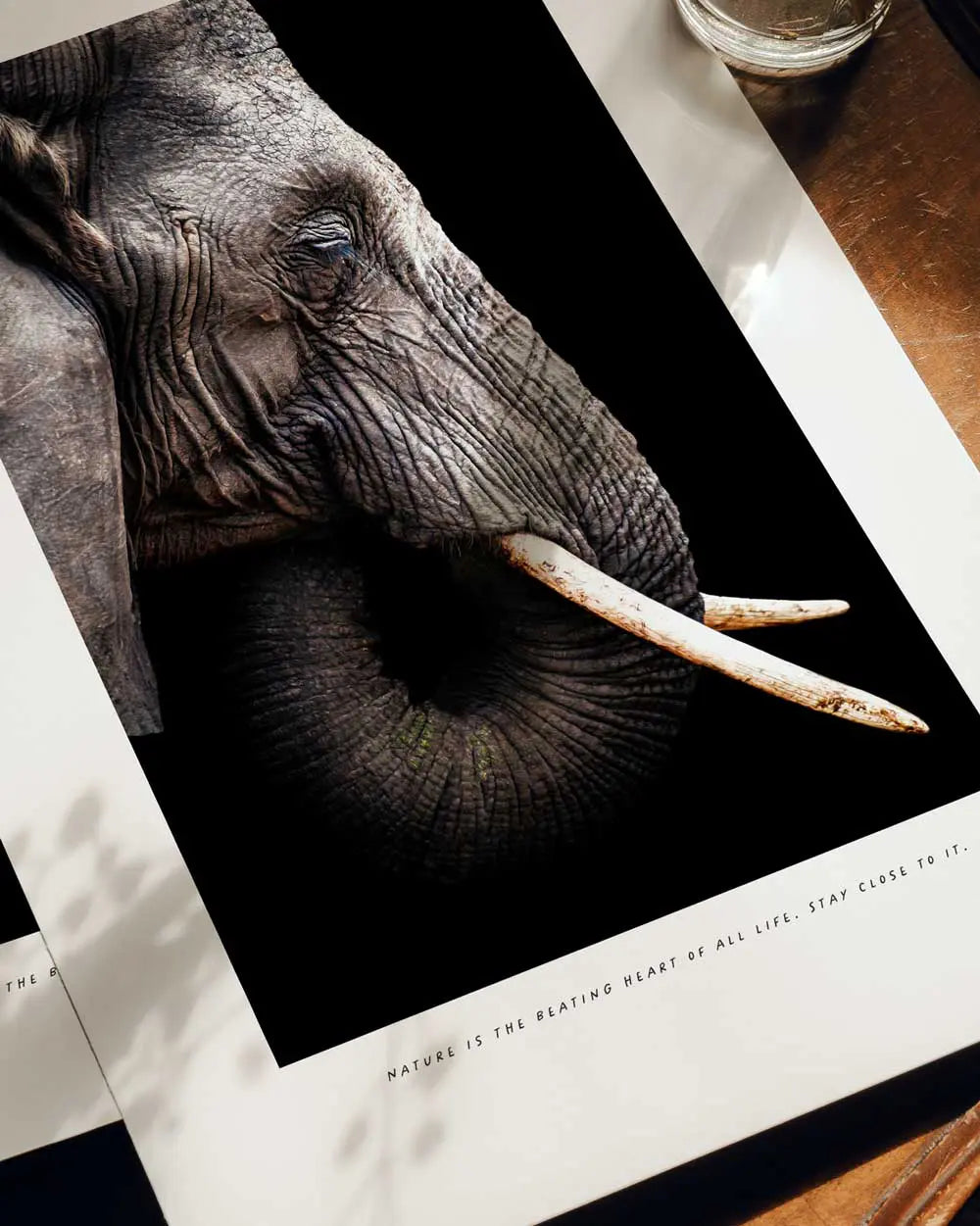 Close-up of an elephant's face on an art print with a white border and a quote. The art print is placed on a wooden surface.