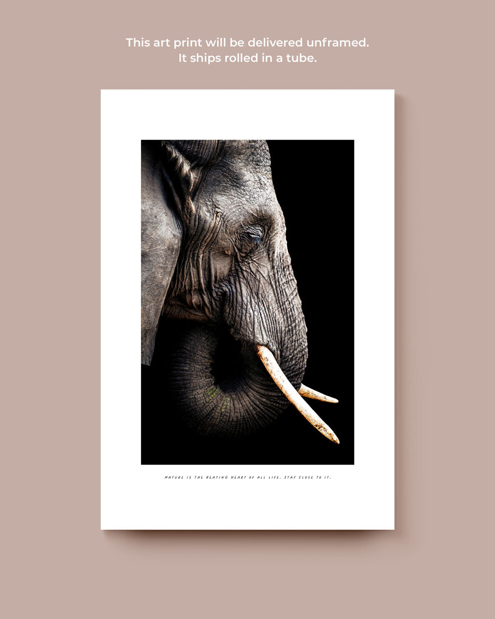 The Matriarch Art Print