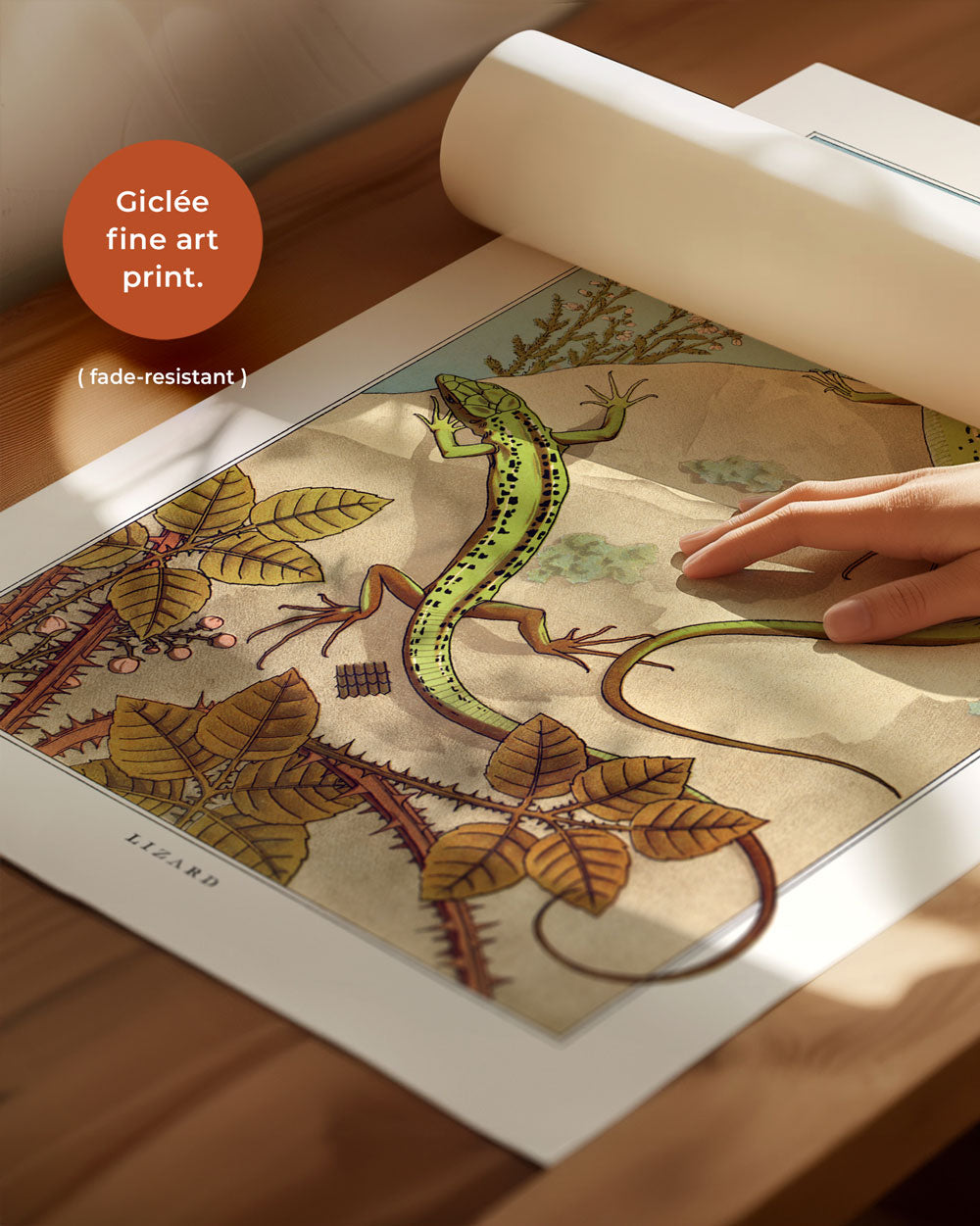 Two Green Lizards Art Print