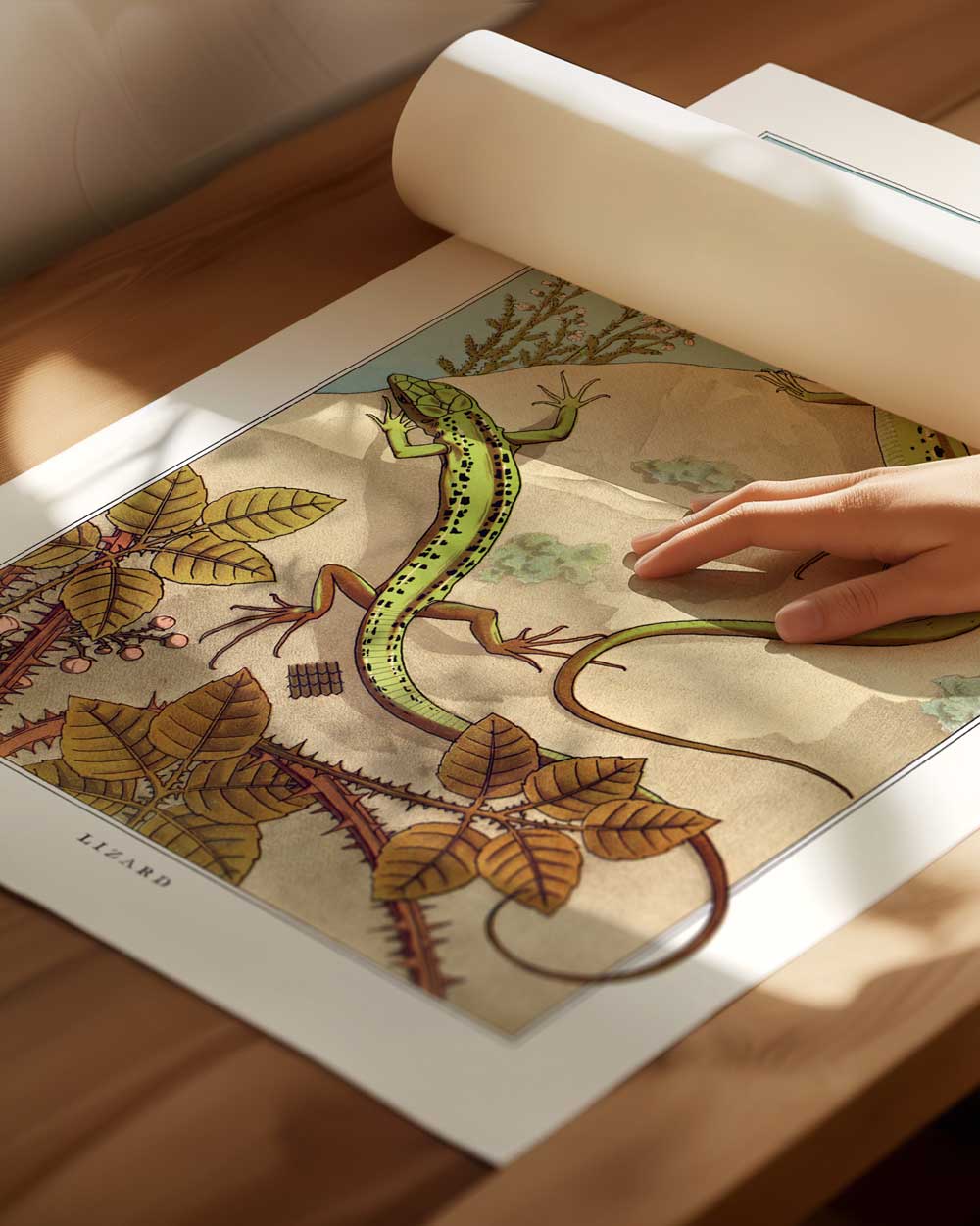 Two Green Lizards Art Print