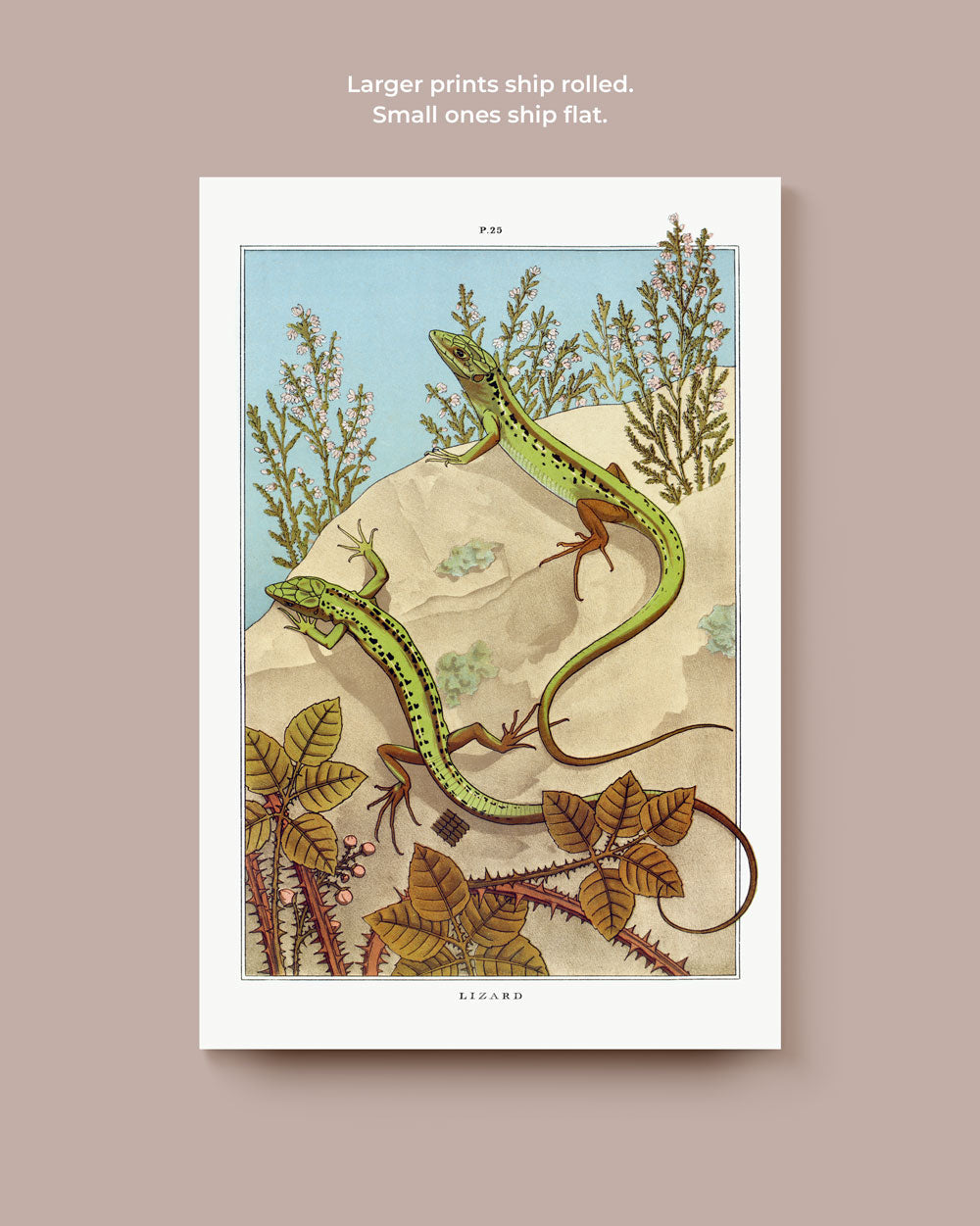 Two Green Lizards Art Print