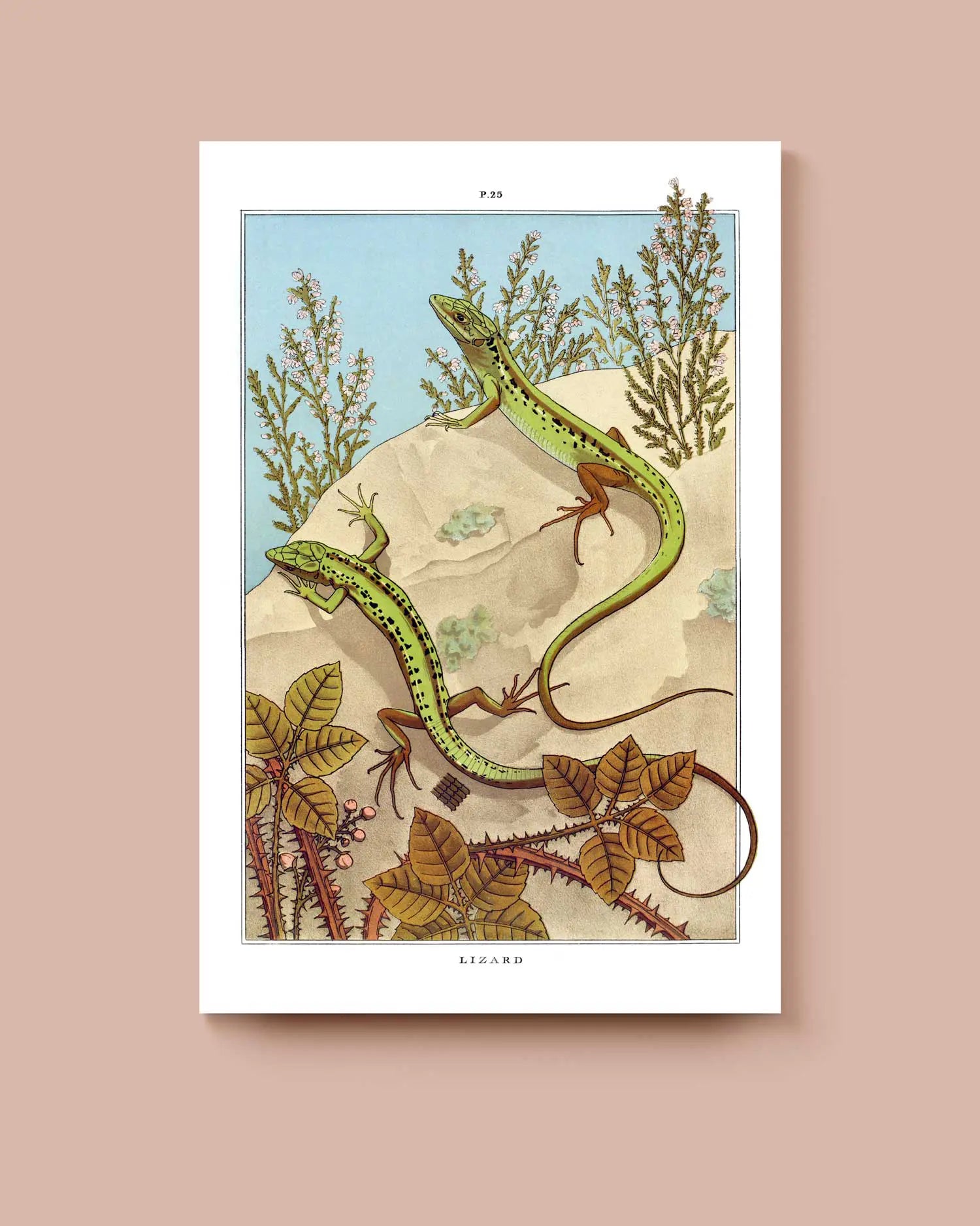 An artwork of two green lizards sitting on rocks between some plants on a pinkish brown background. * Unframed print