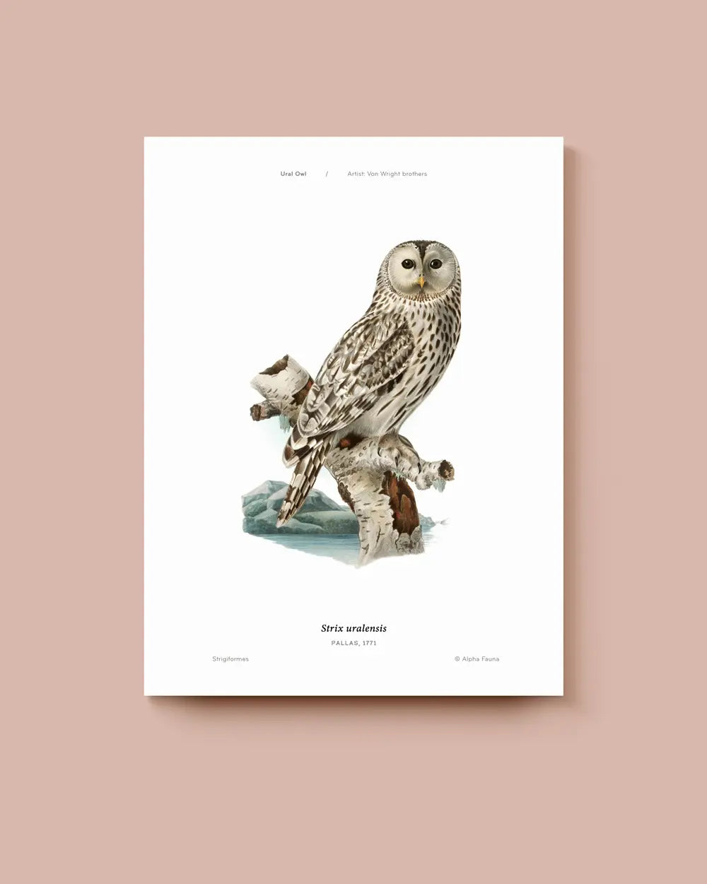 Poster of an owl illustration on a beige background. * Unframed print